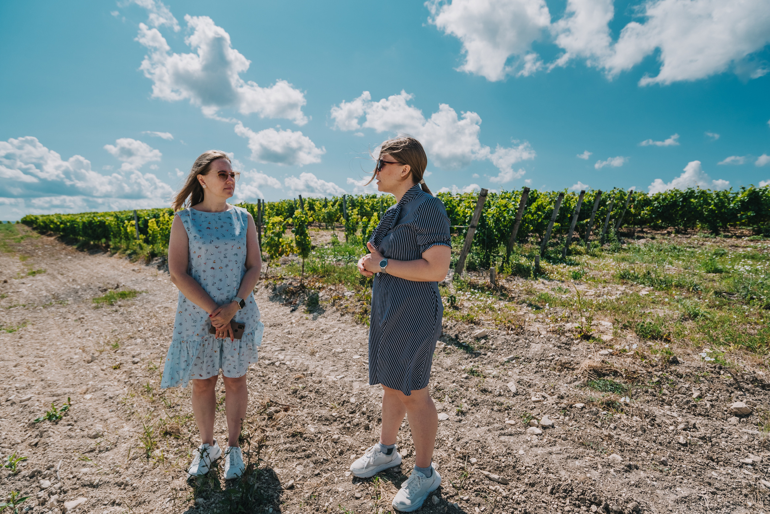 Винодельня «Сухая гора». Промышленный фотограф в Ростовской области Владимир Яковенко