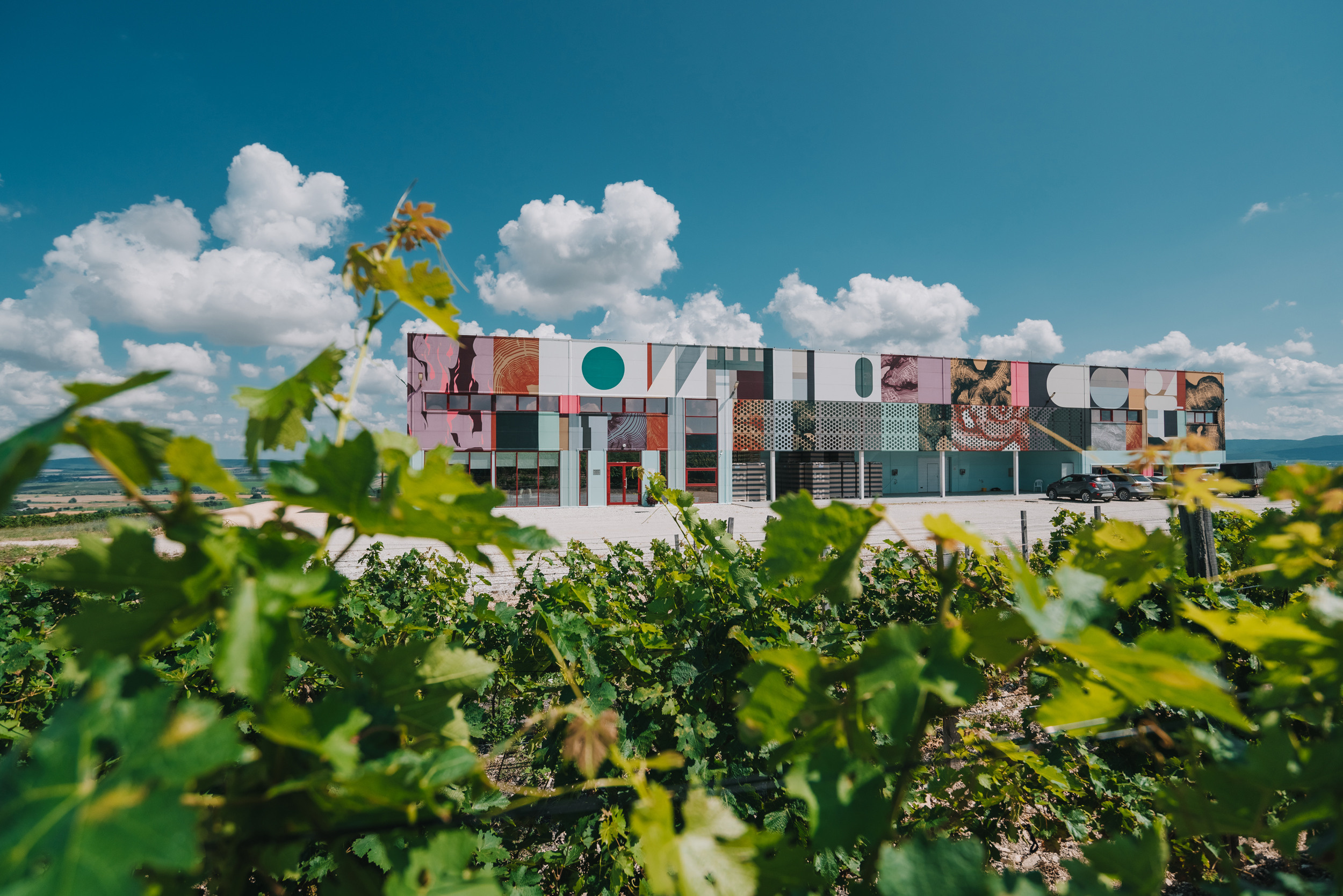 Винодельня «Сухая гора». Промышленный фотограф в Ростовской области Владимир Яковенко