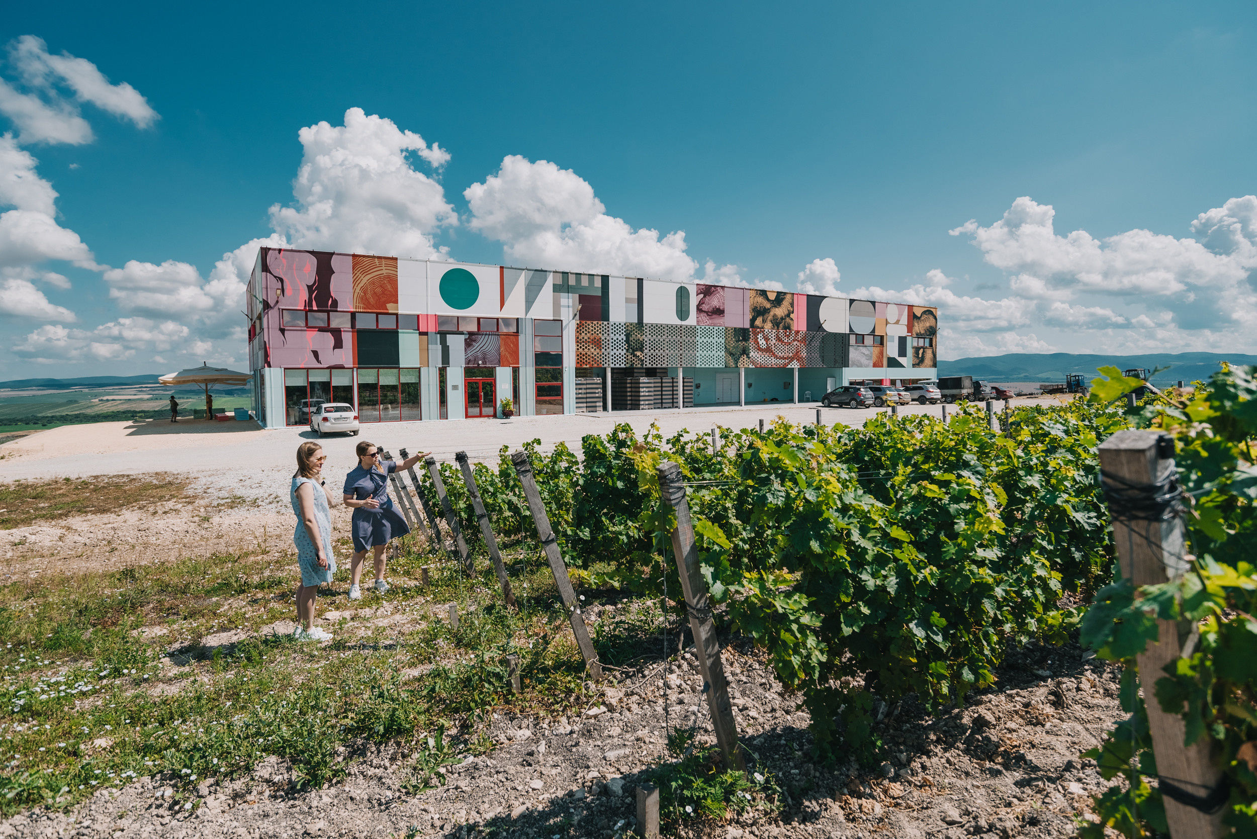 Винодельня «Сухая гора». Промышленный фотограф в Ростовской области Владимир Яковенко