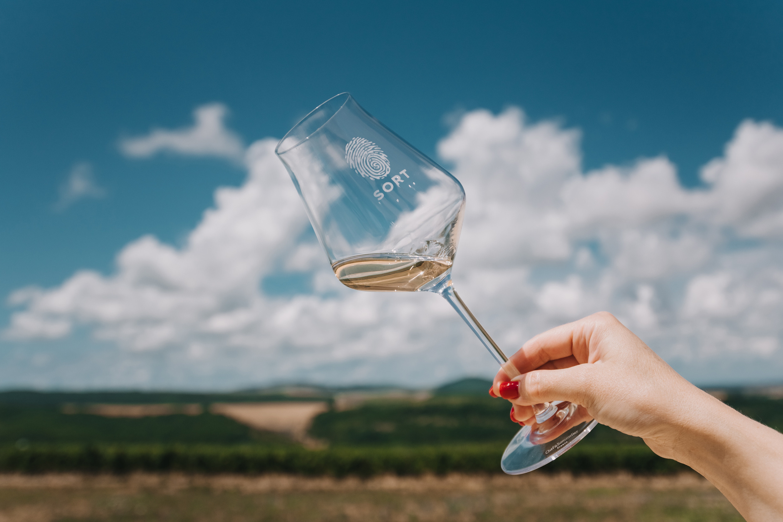 Винодельня «Сухая гора». Промышленный фотограф в Ростовской области Владимир Яковенко