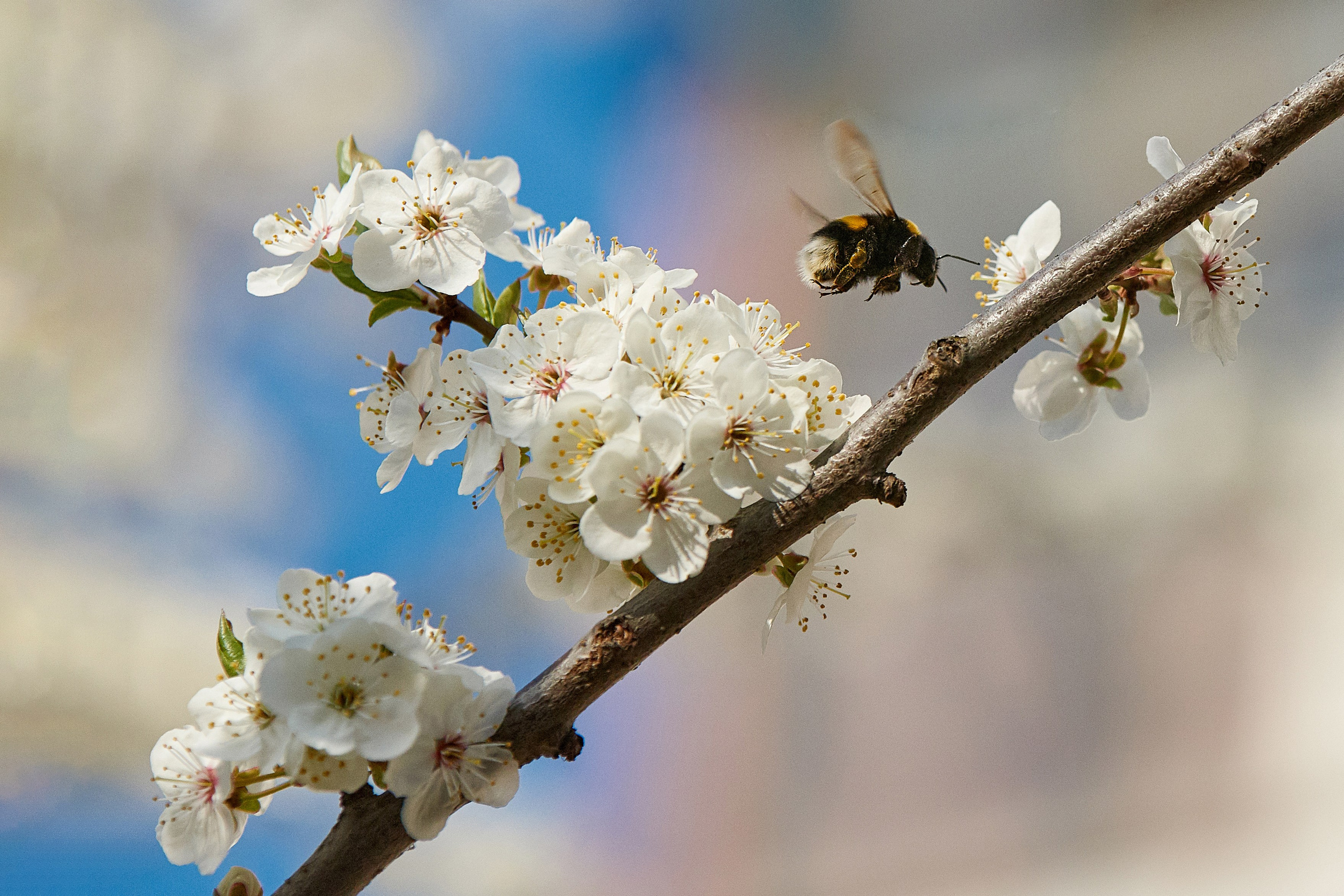 Наша мать — природа. Фотограф Владимир Артамонов