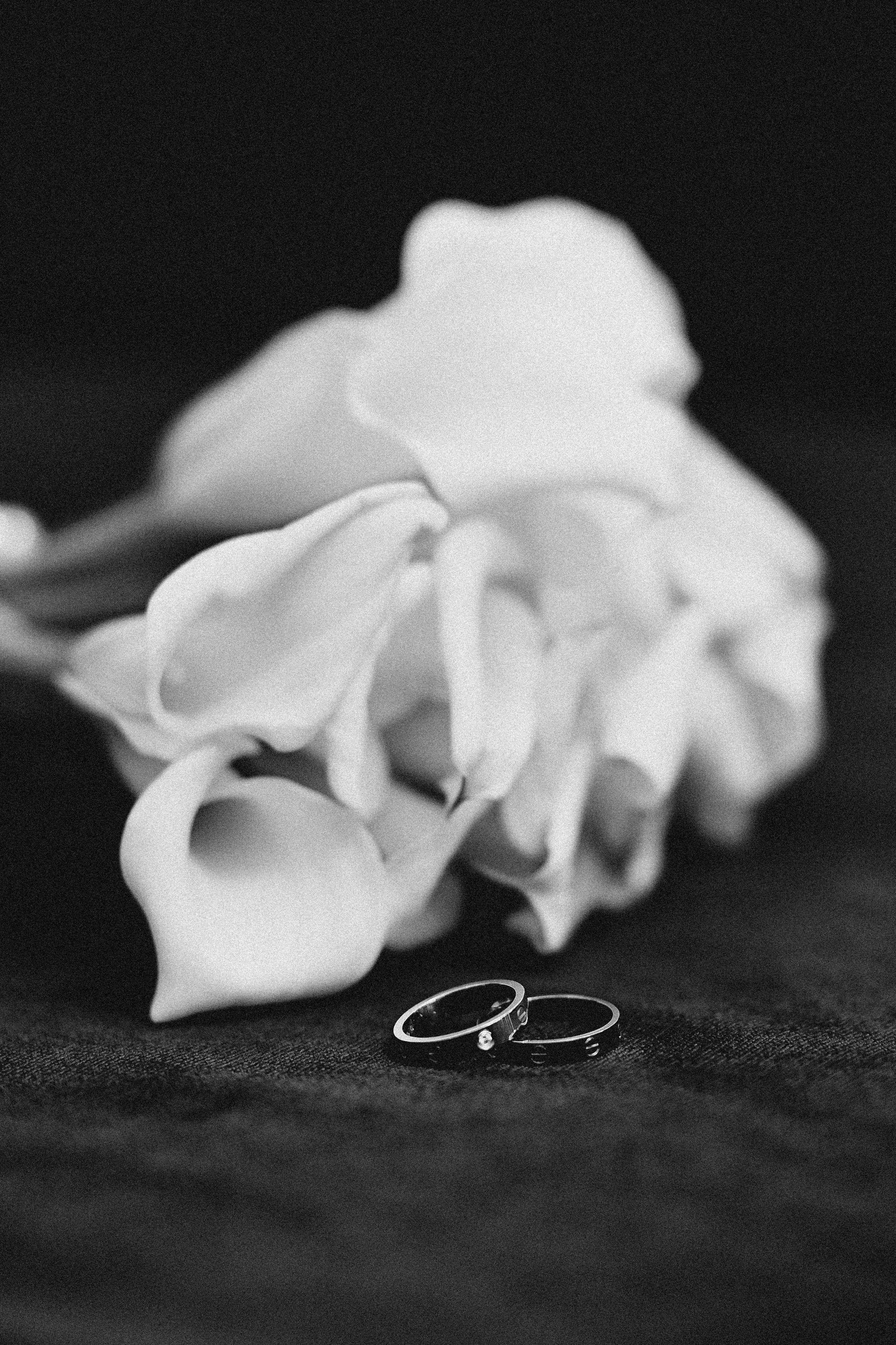 Свадьба Кутузовский загс и Архангельское. Анастасия Петрович фотограф, фотокорреспондент в Москве и Санкт-Петербурге. Фотосъёмка репортажа, мероприятия, корпоративная съёмка, контент