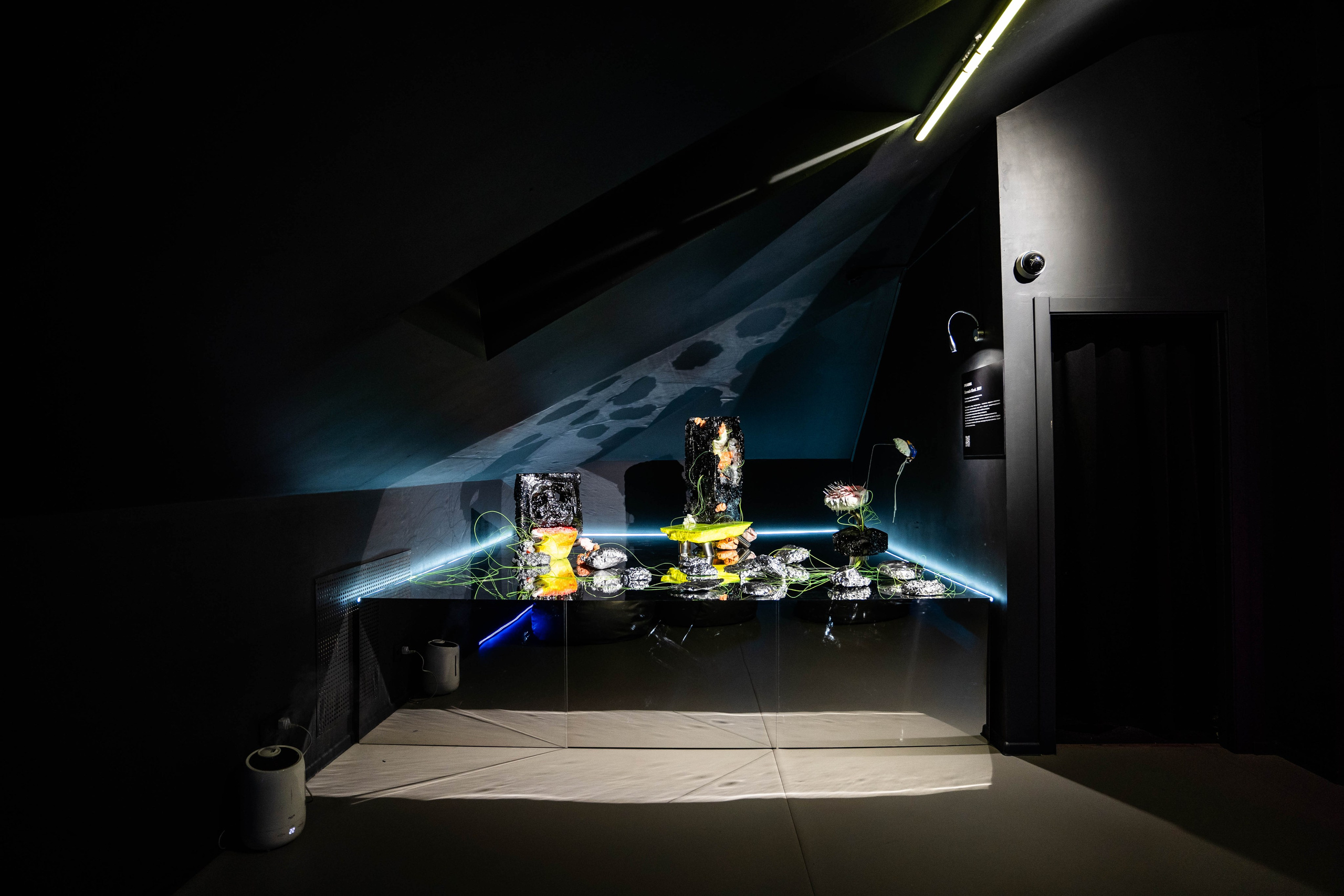 MARS. Фотограф Абакумова Анастасия