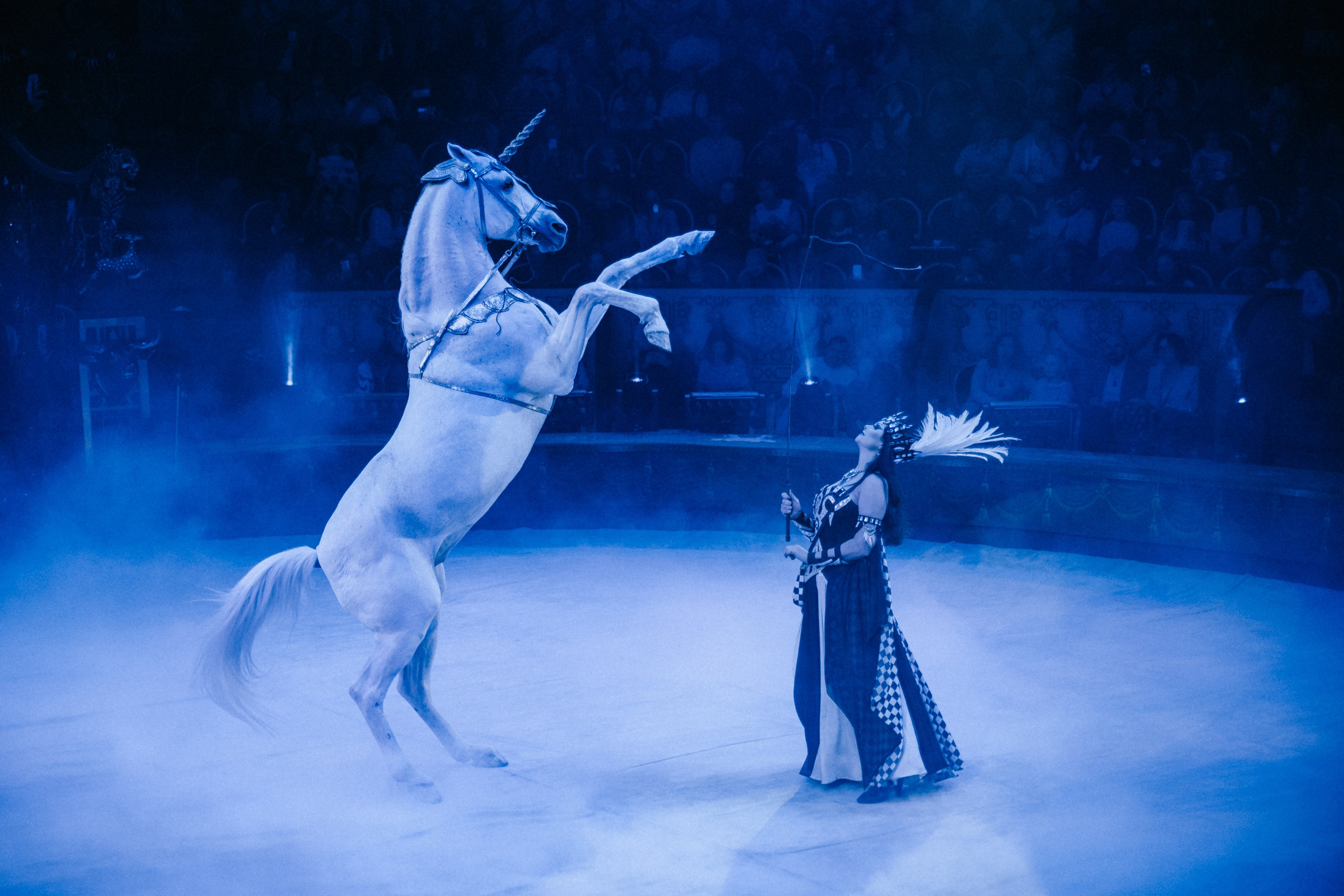 Королевский Цирк Гии Эрадзе. Репортажный и портретный фотограф в Санкт-Петербурге Степлевич Дарья