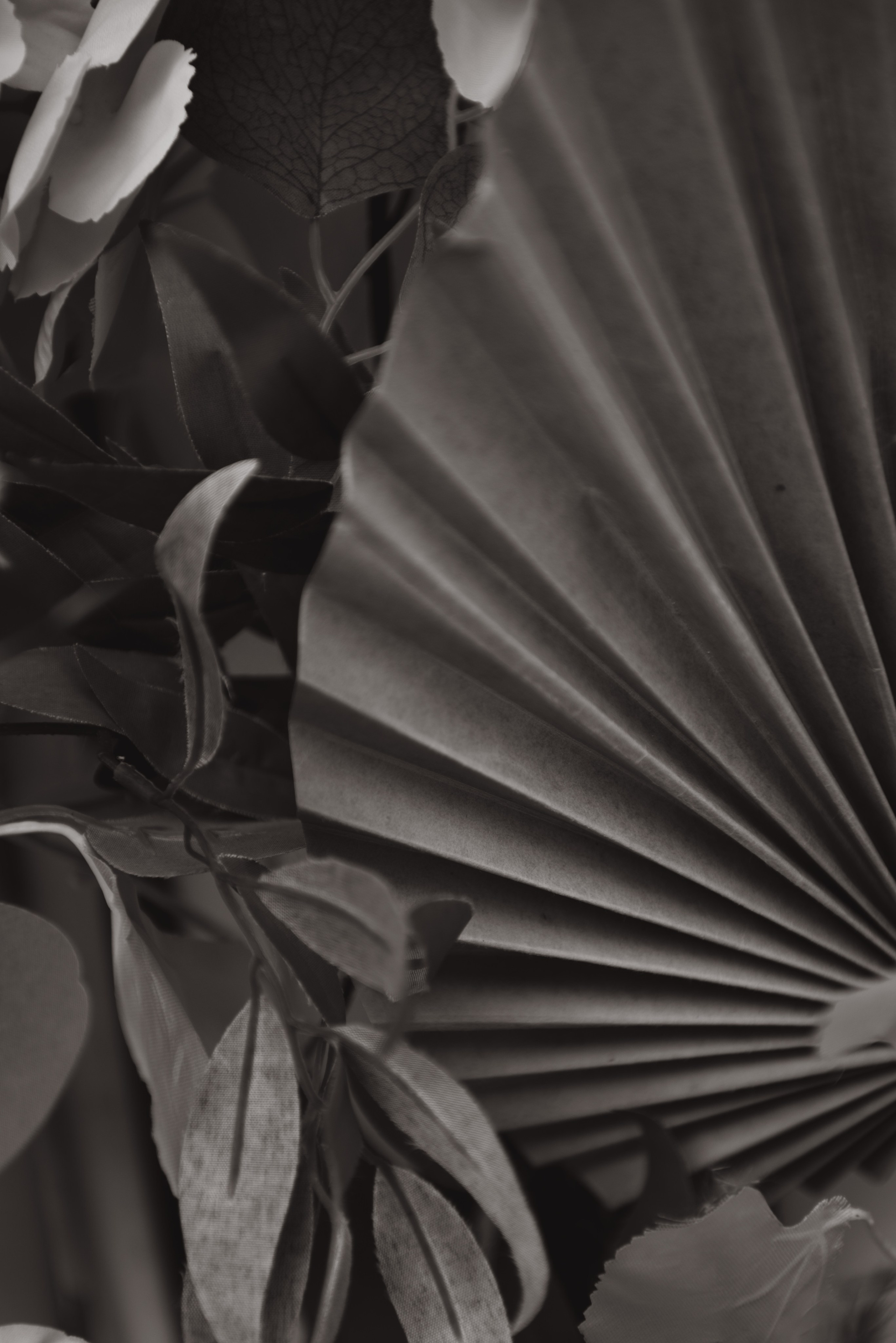 Павел и Мария. Фотограф в Томске Мария Март