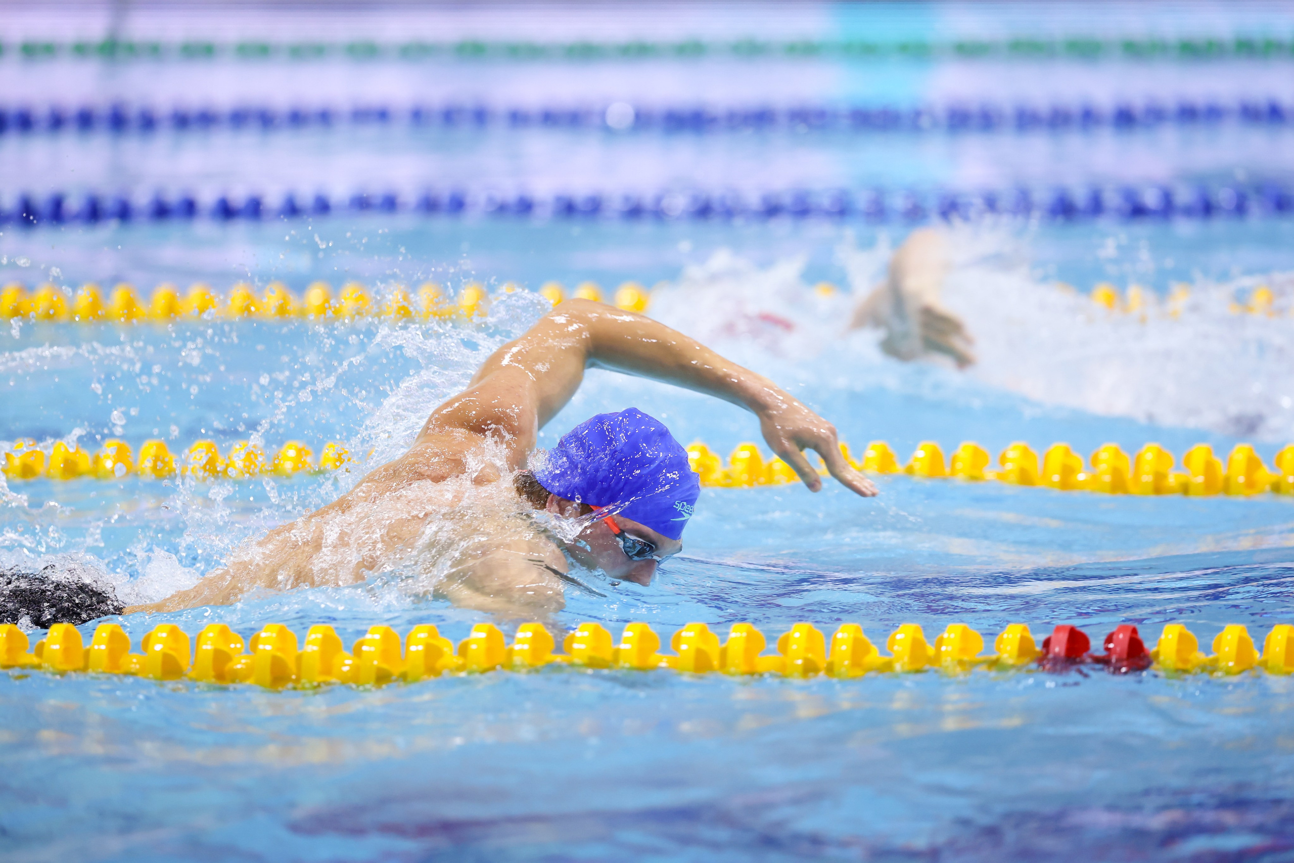 Чемпионат России по плаванию 25 м 21-26.11.2024. Спортивный и репортажный фотограф Антон Тереханов