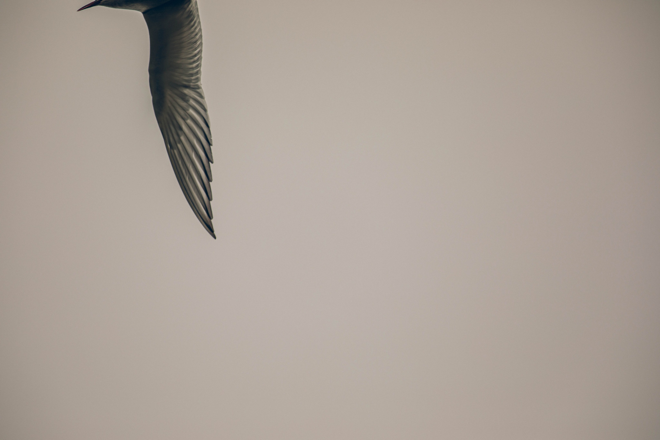 Кольский полуостров. Фотографирую для себя, своей семьи и друзей!