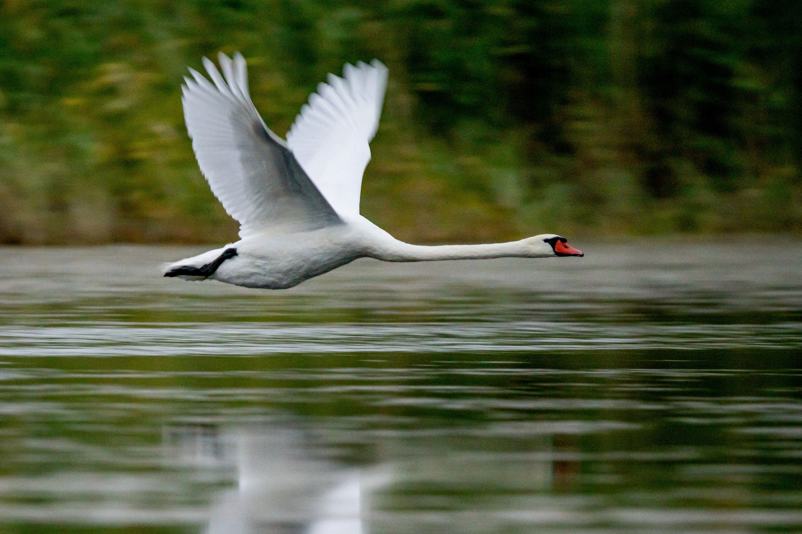 Природа Дагестана, сентябрь 2024. Foto-Zuev фотография как искусство
