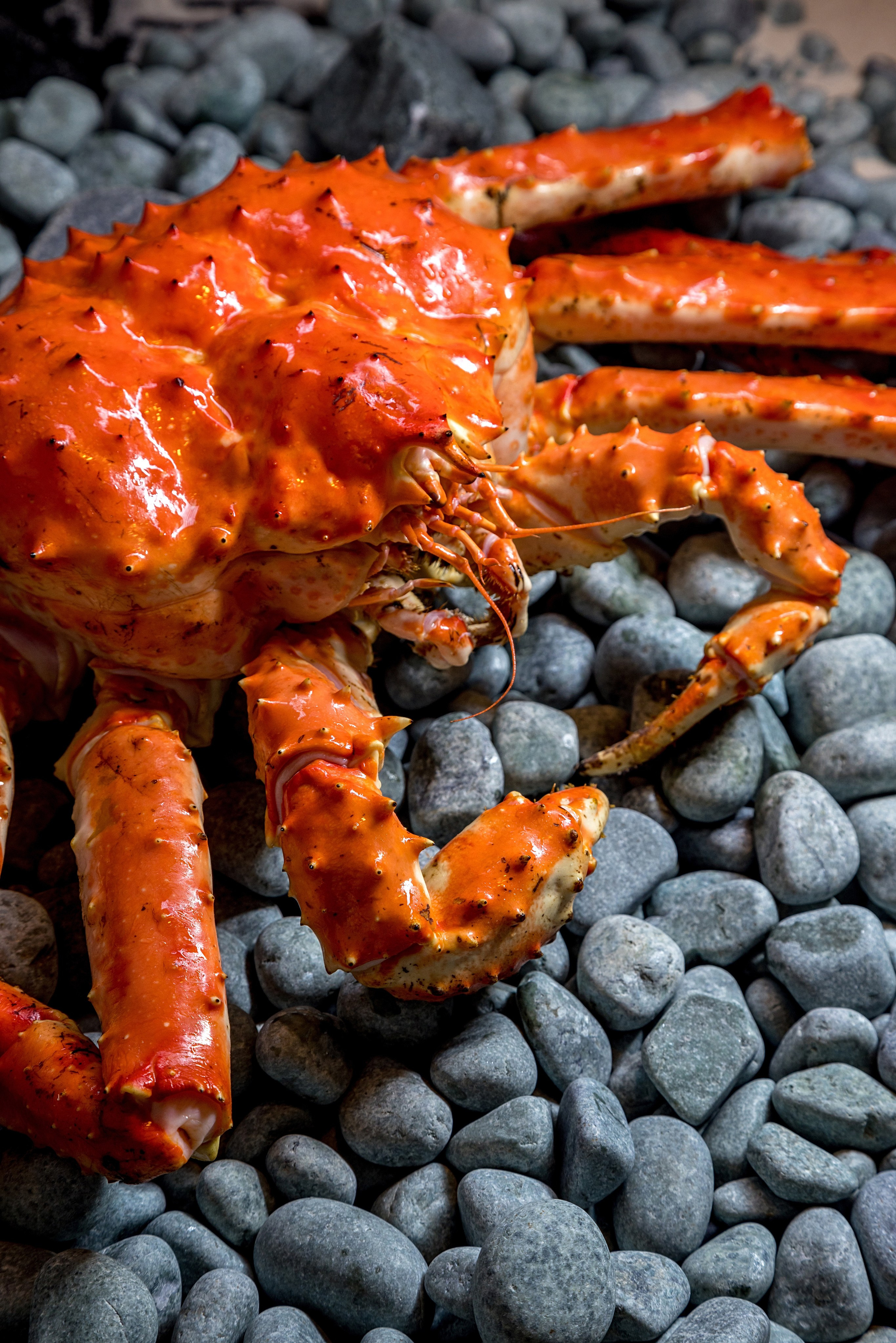 Сырое в декоре. Фуд-фотограф Гумеров Ильдар