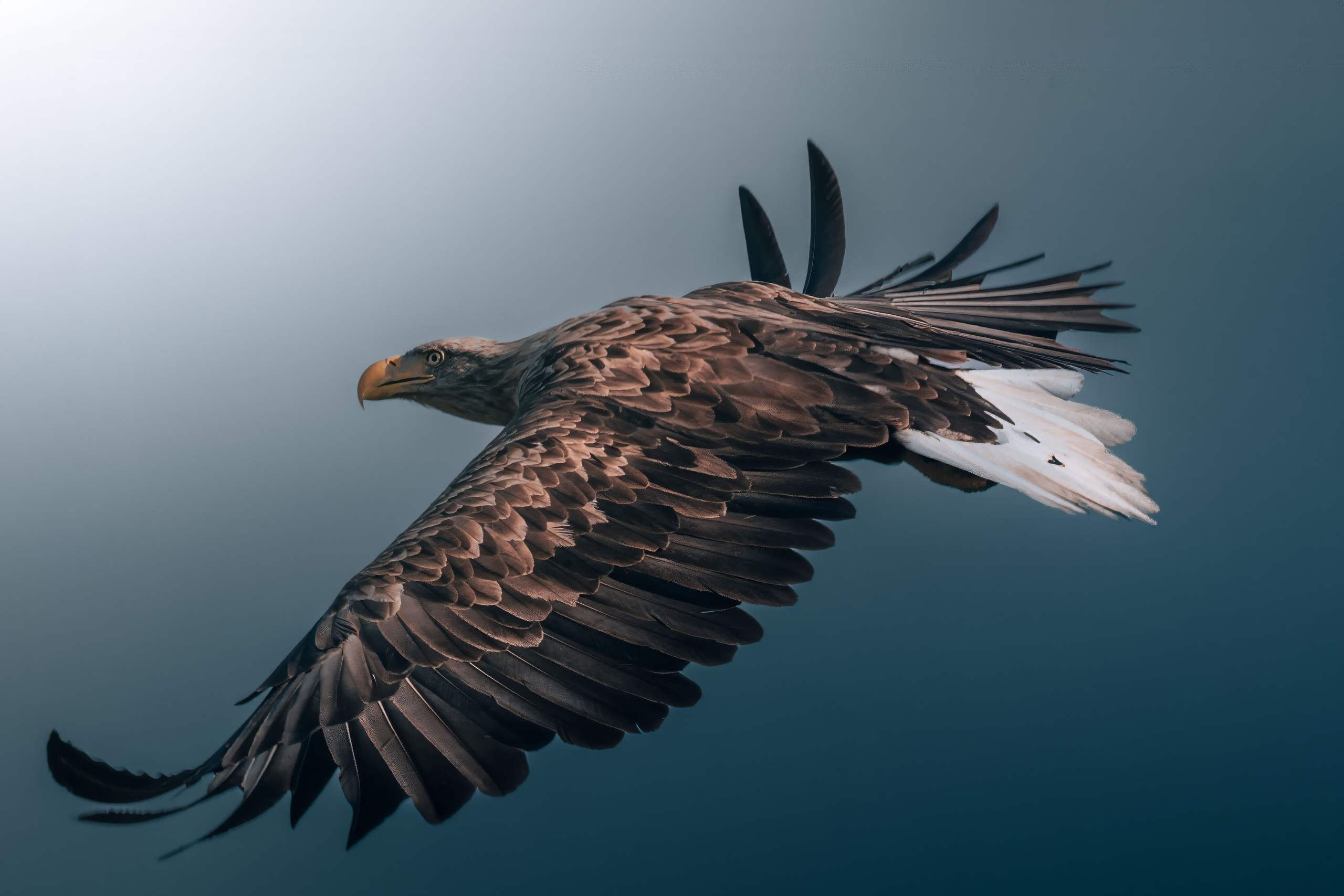 Астраханская область 2025 | Фотограф Дмитрий Купрацевич. Дмитрий Купрацевич профессиональный пейзажный и travel-фотограф