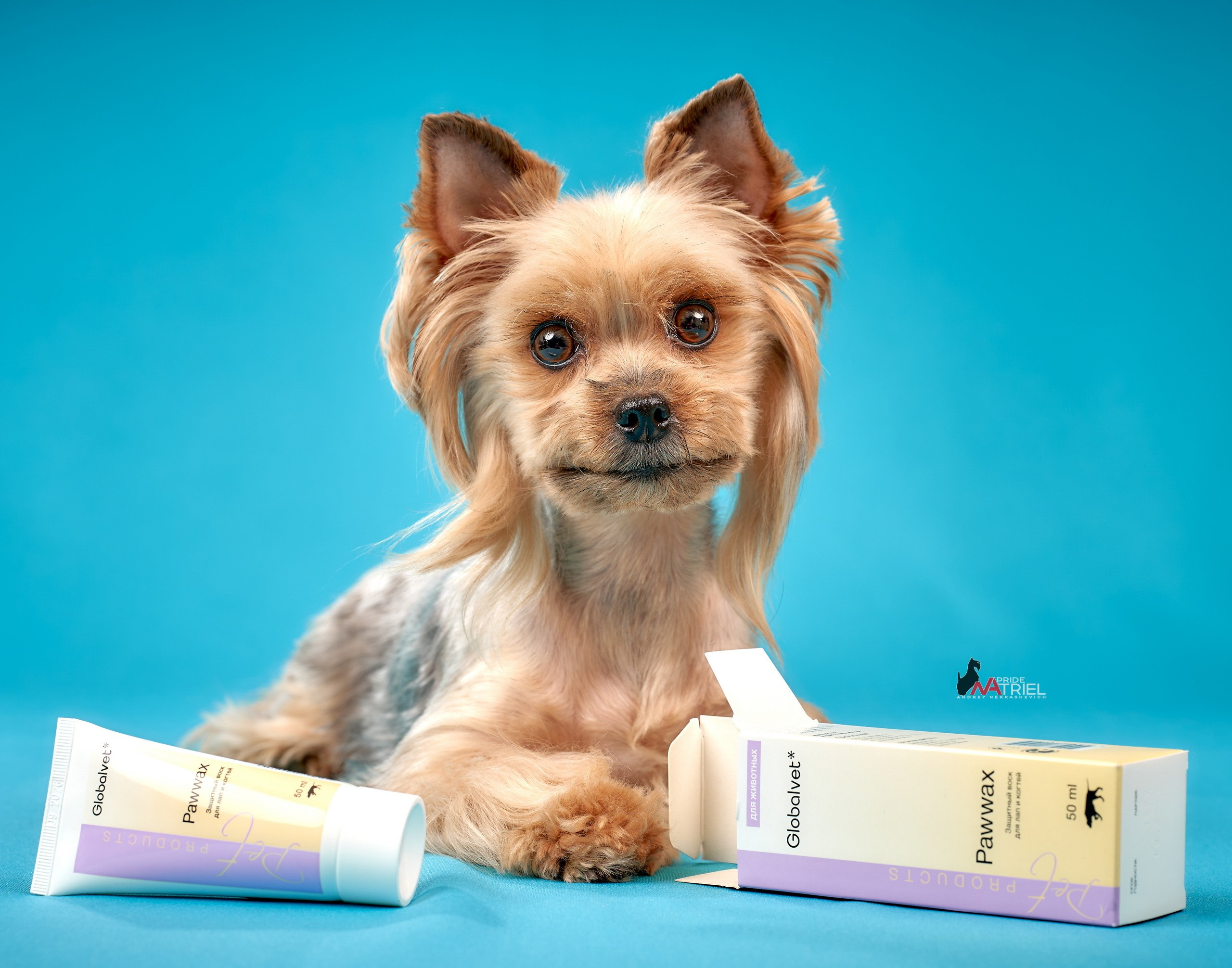 Реклама с животными — галерея NATRIEL