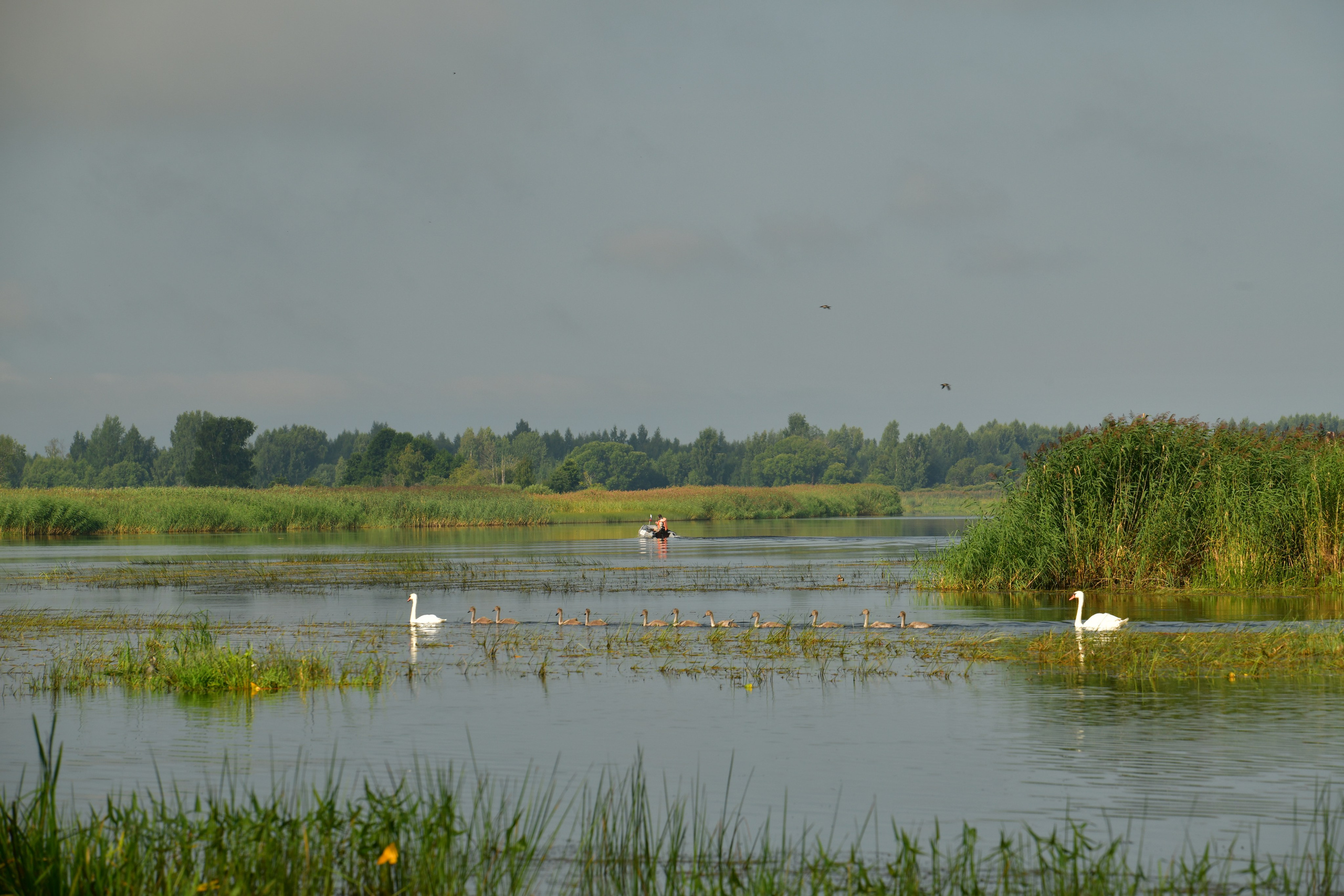 Природа. Фото детских спортивных мероприятий и всякое интересное через объектив