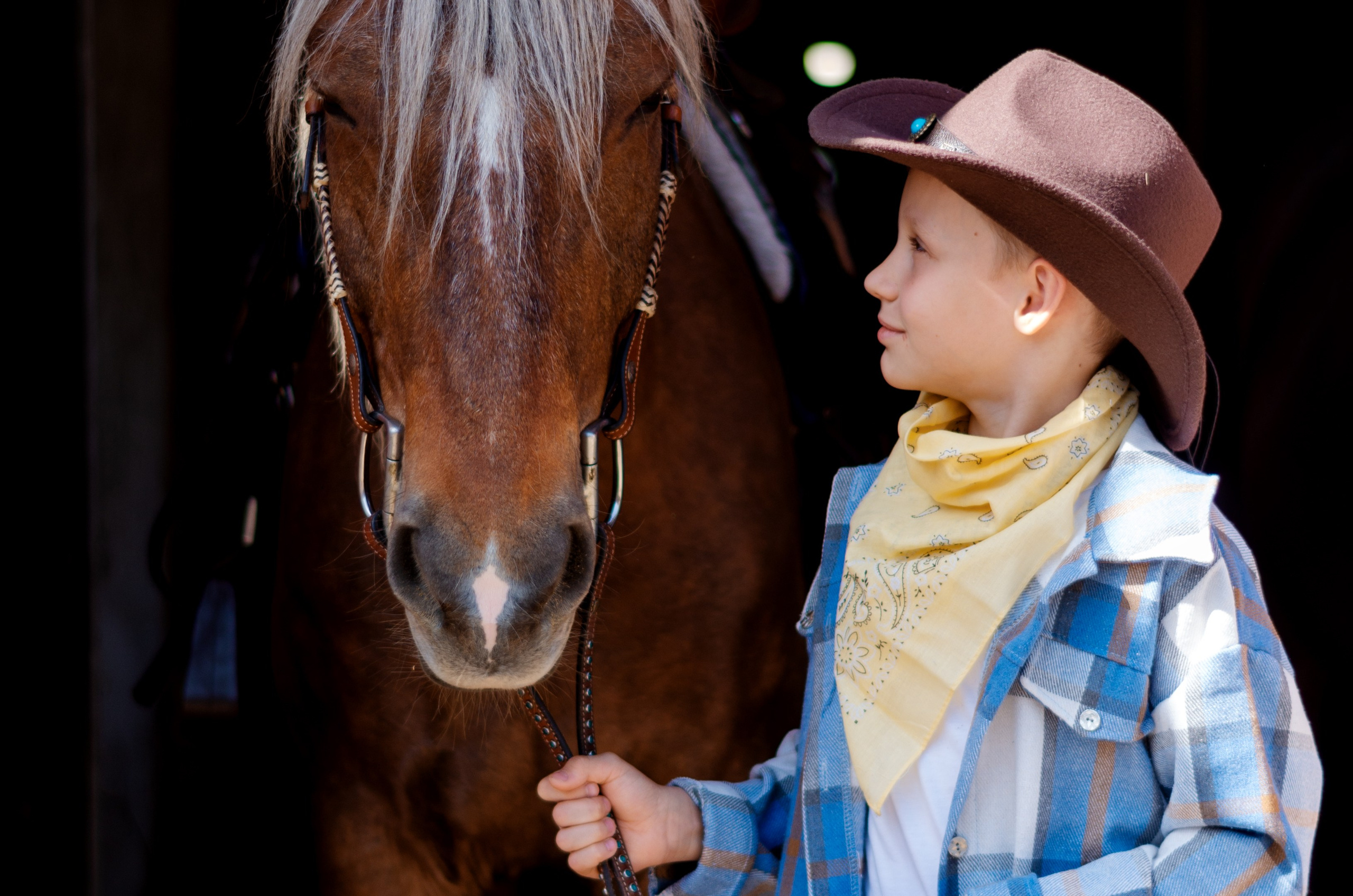 Мужской портрет: разное. Фотограф Марина Доглядная Челябинск фотосессии с лошадьми, мотоциклами