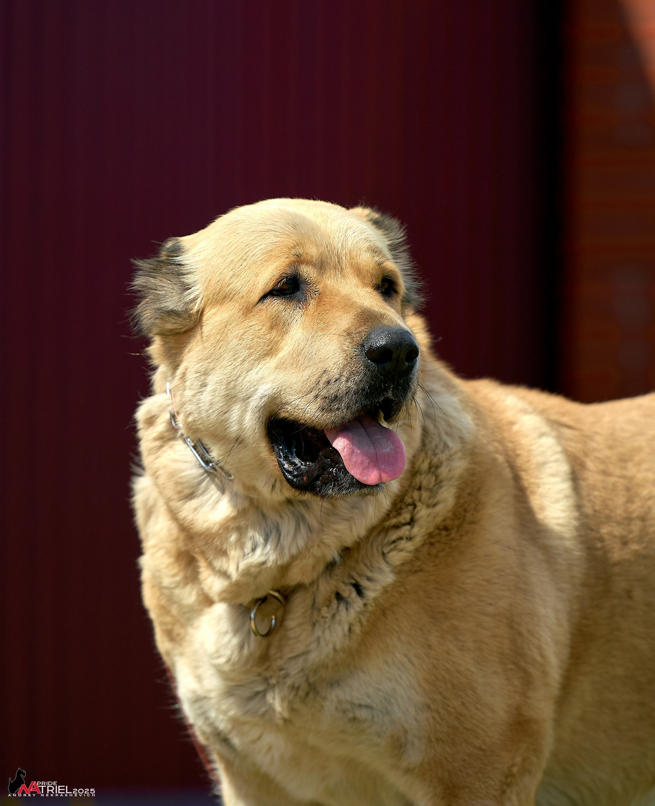 Съемка в питомнике
