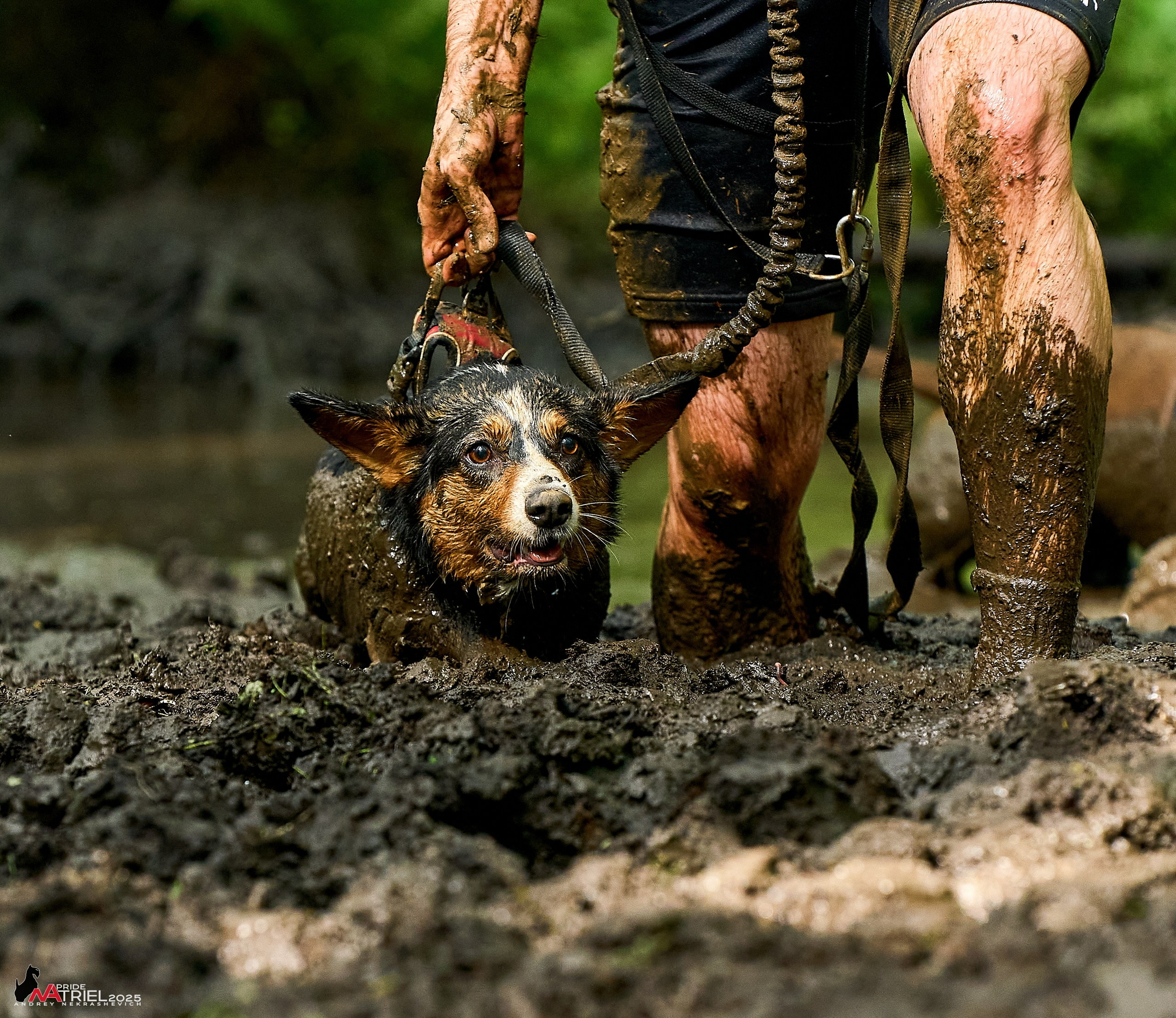 Russian Extreme Dog Trail — 2025