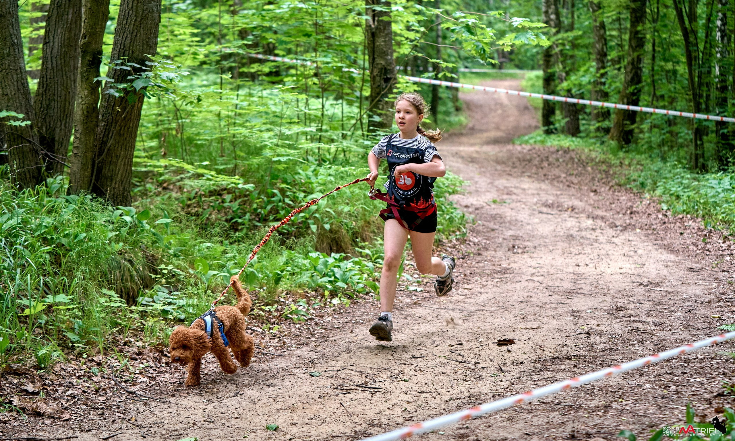 Russian Extreme Dog Trail — 2025