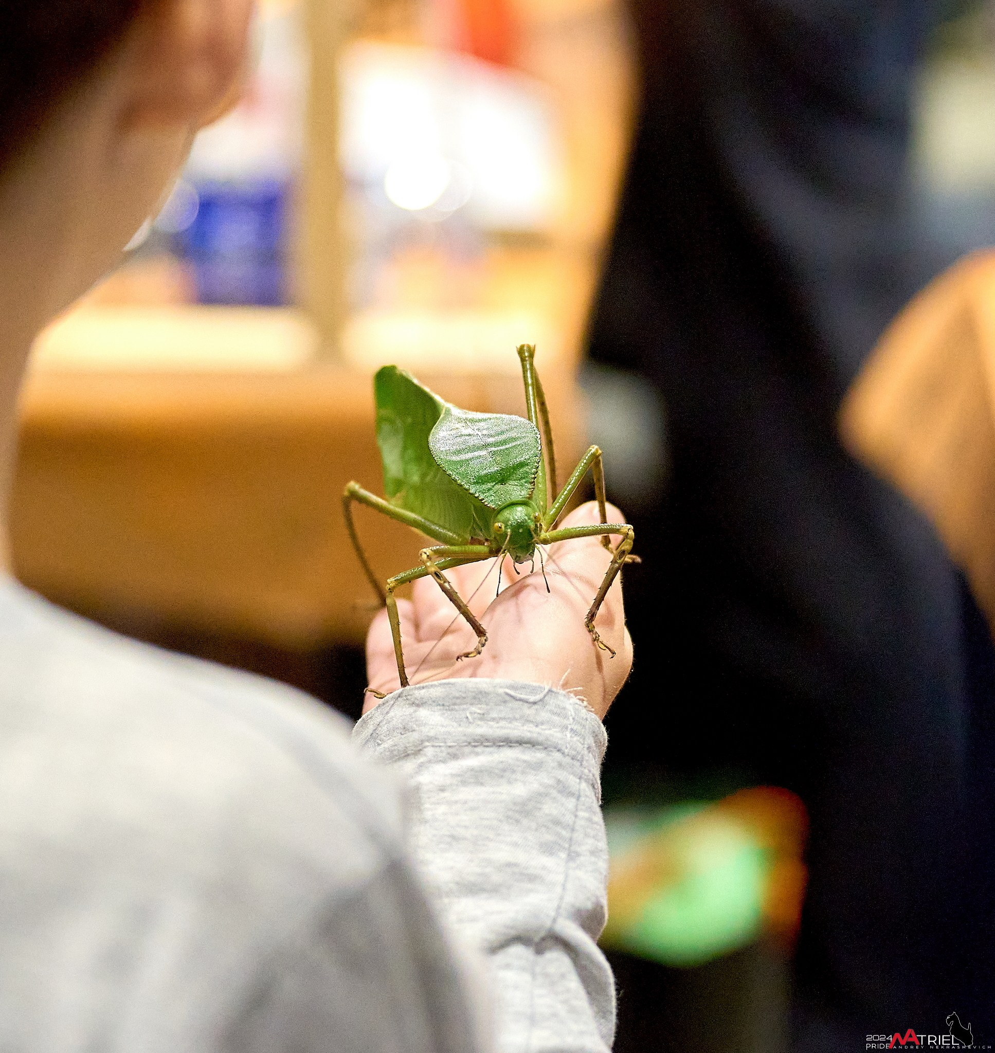 Репортаж с выставки РЕПТИЛИУМ-2024