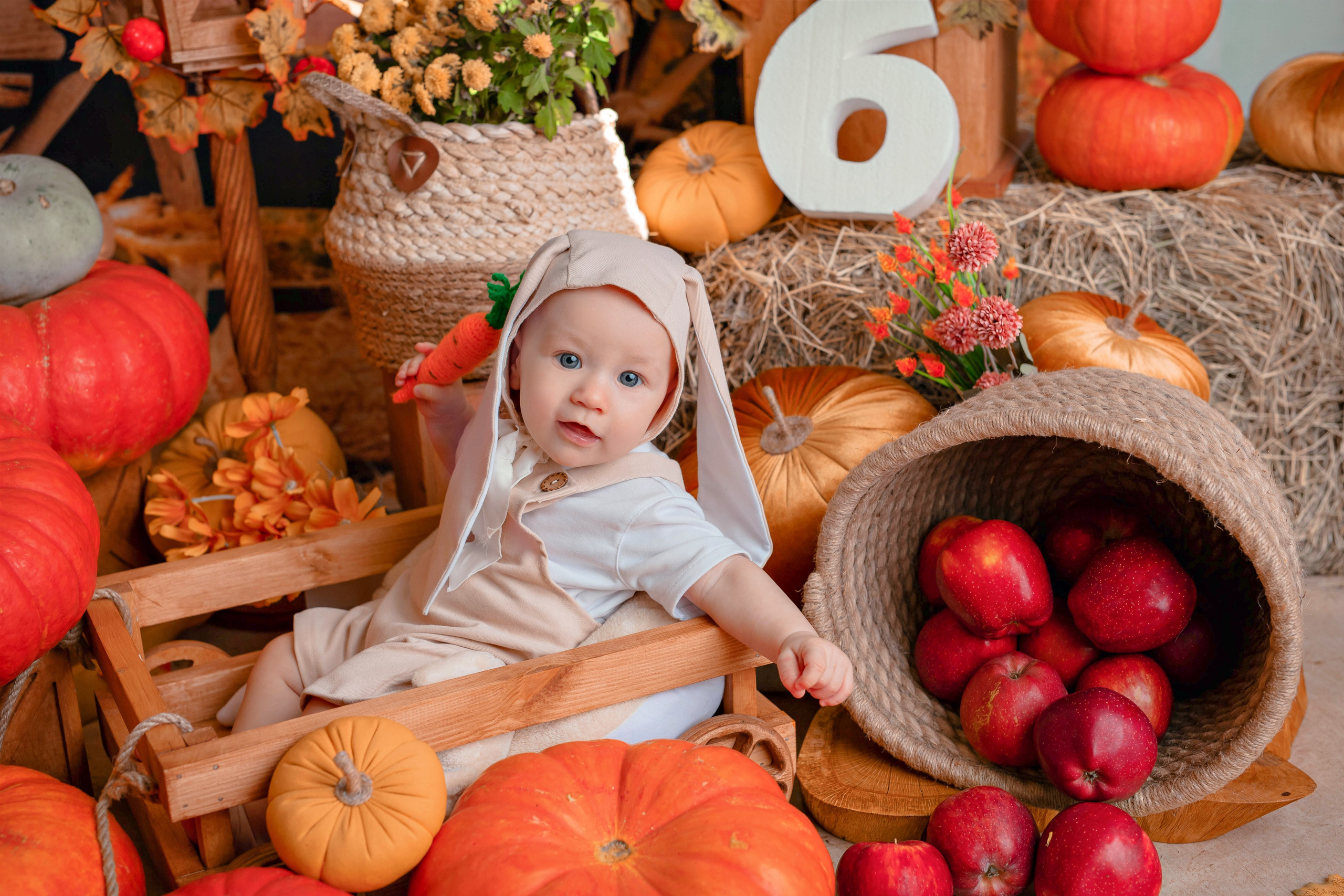 Тыквы. Фотограф Болотова Иветта