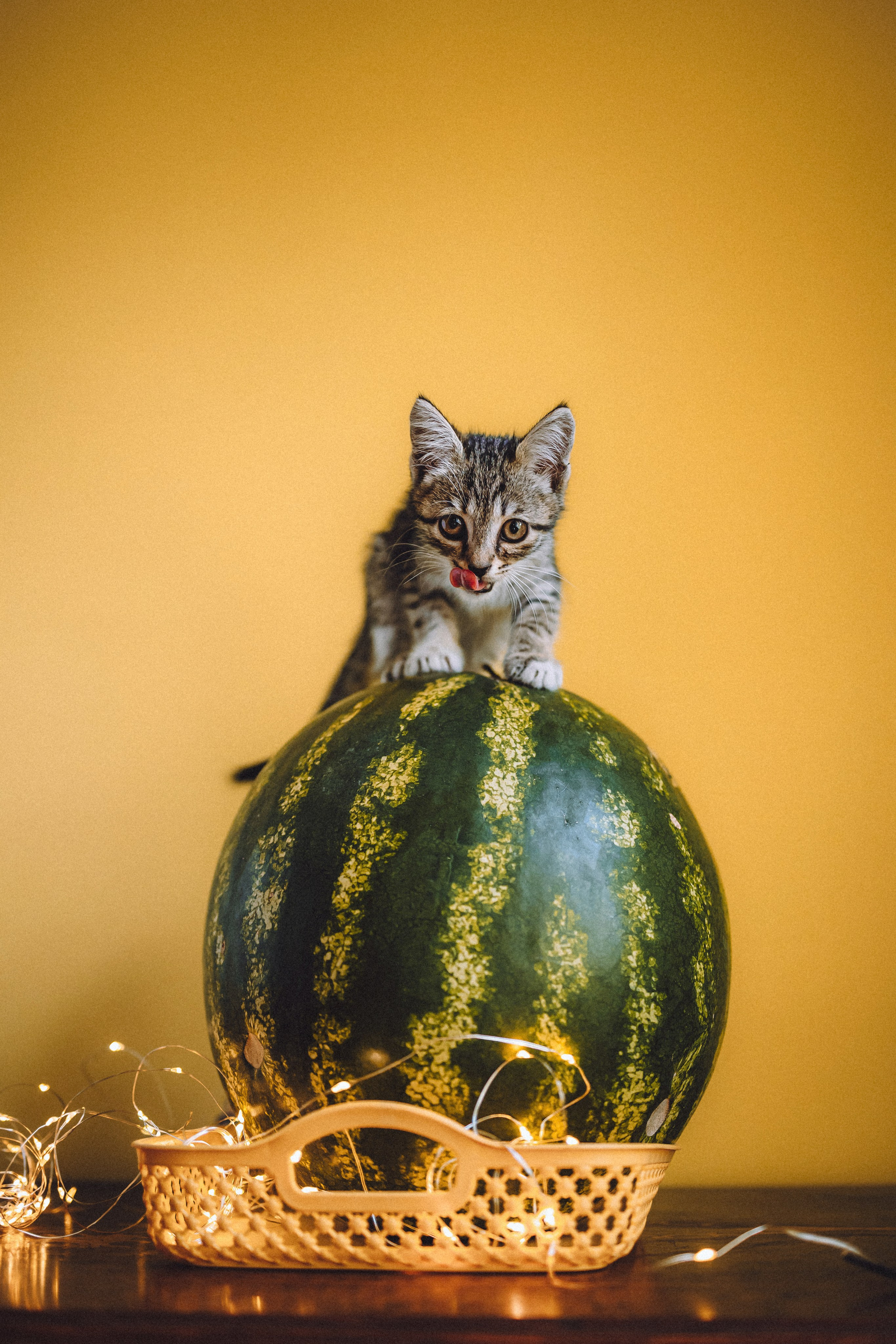 Сирена и арбуз