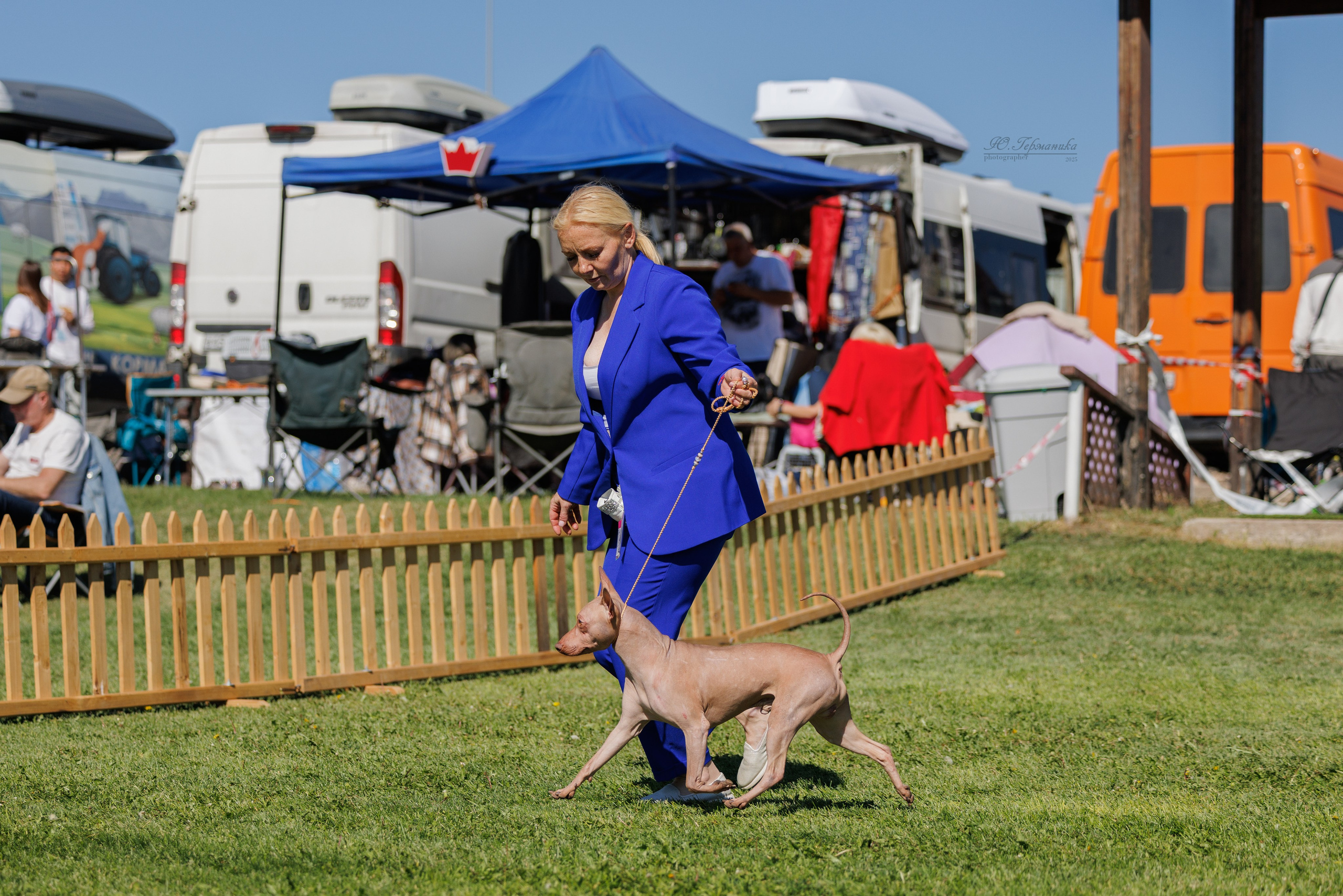 Ереван 14-16.10.2025. Фотограф-анималист Юлия Германика