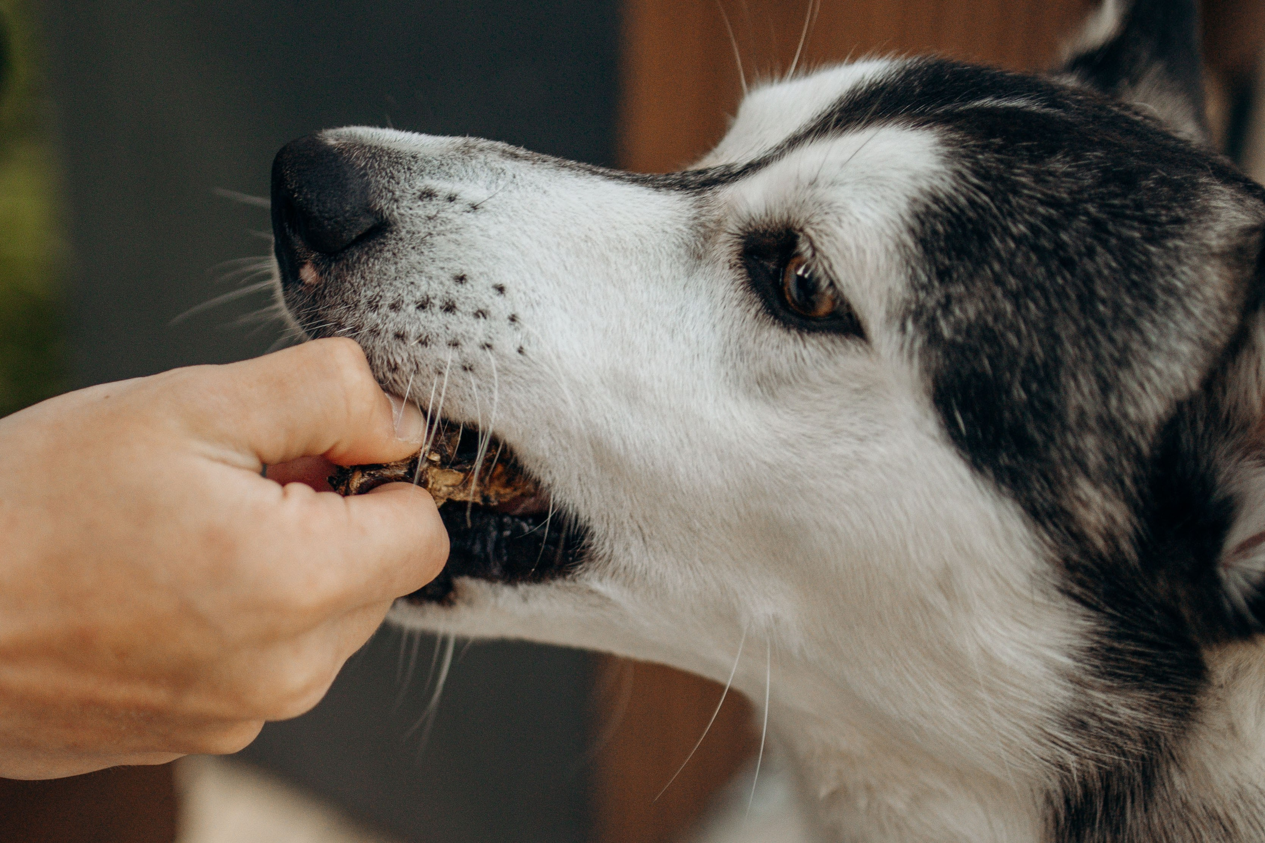 Феня и его семья