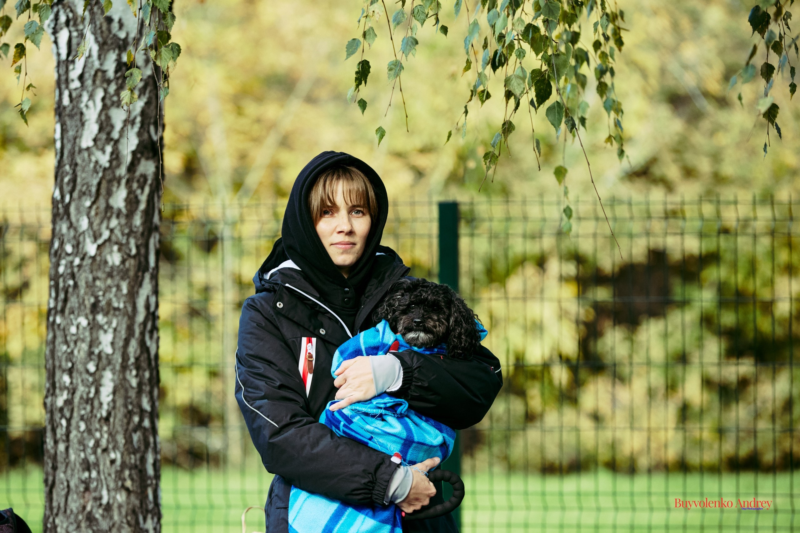 Брабогриффотусаекб. Buyvolenko Andrey