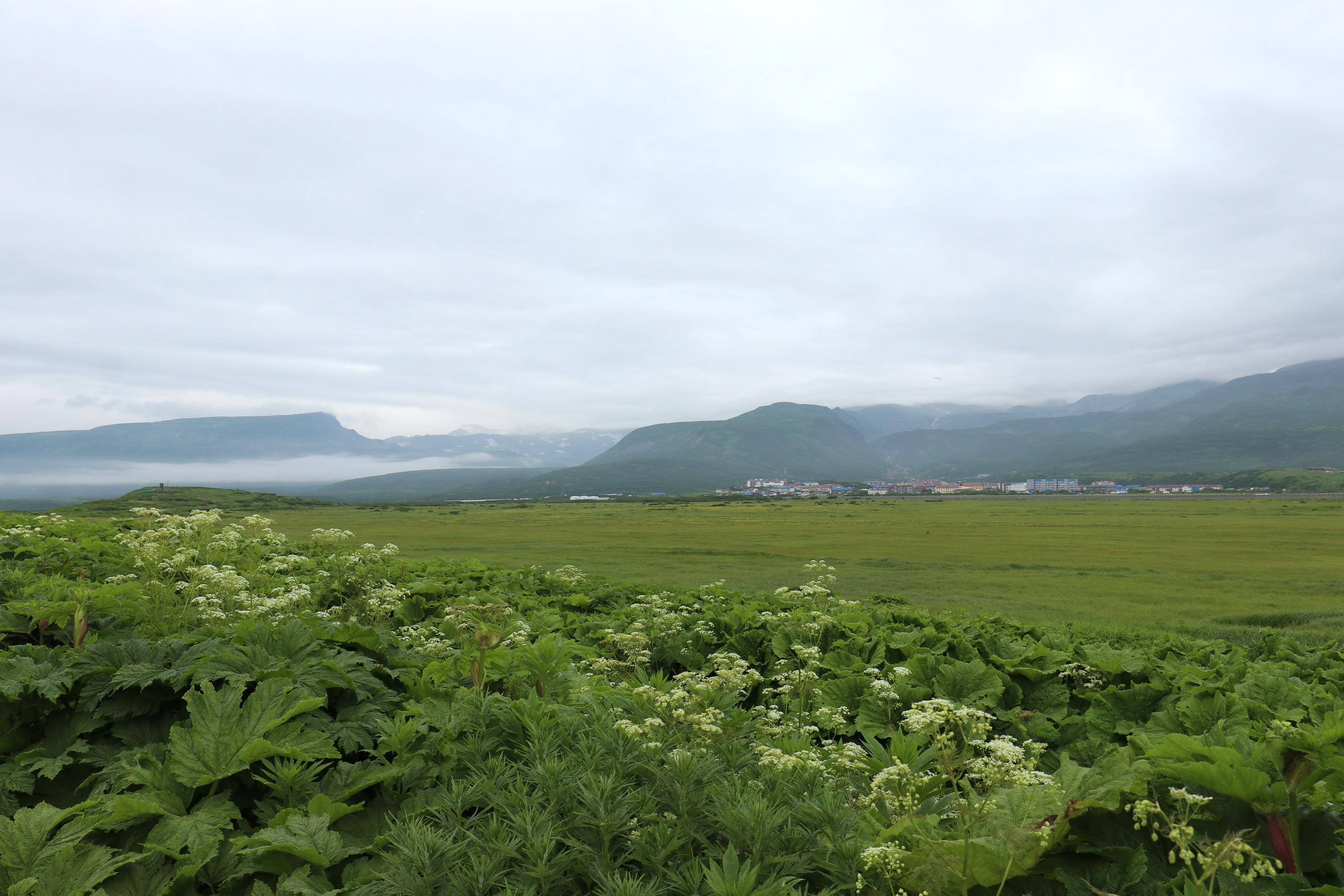 Камчатка и о. Парамушир. Июль 2024. Путешественник-фотограф из Санкт-Петербурга Татьяна Свистулина