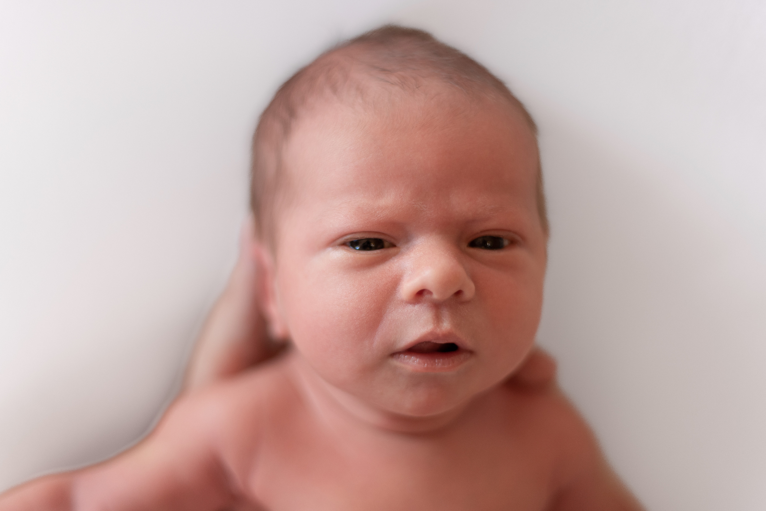 ✨. Профессиональный фотограф новорожденных Тверь