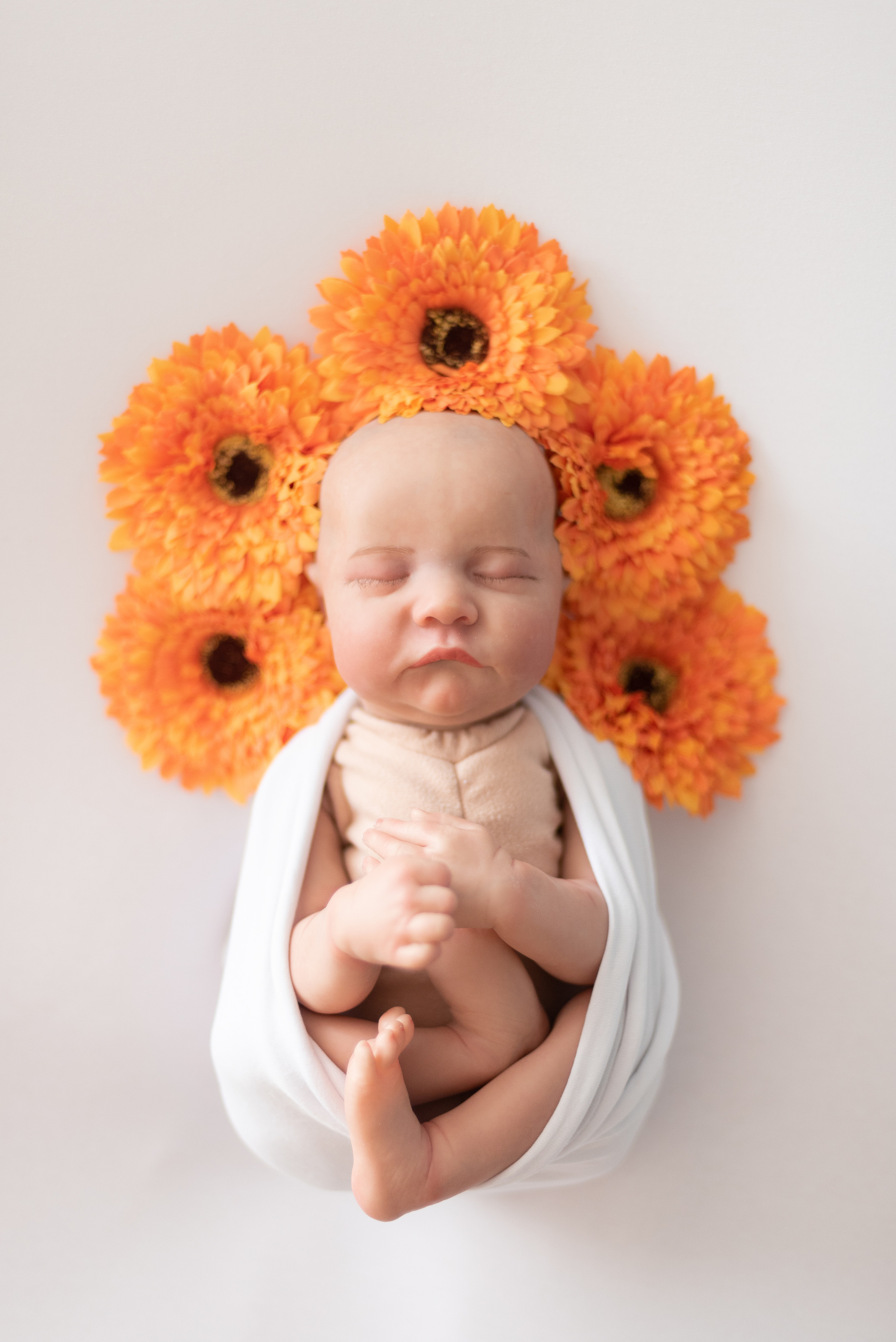 Реквизит✨. Профессиональный фотограф новорожденных Тверь