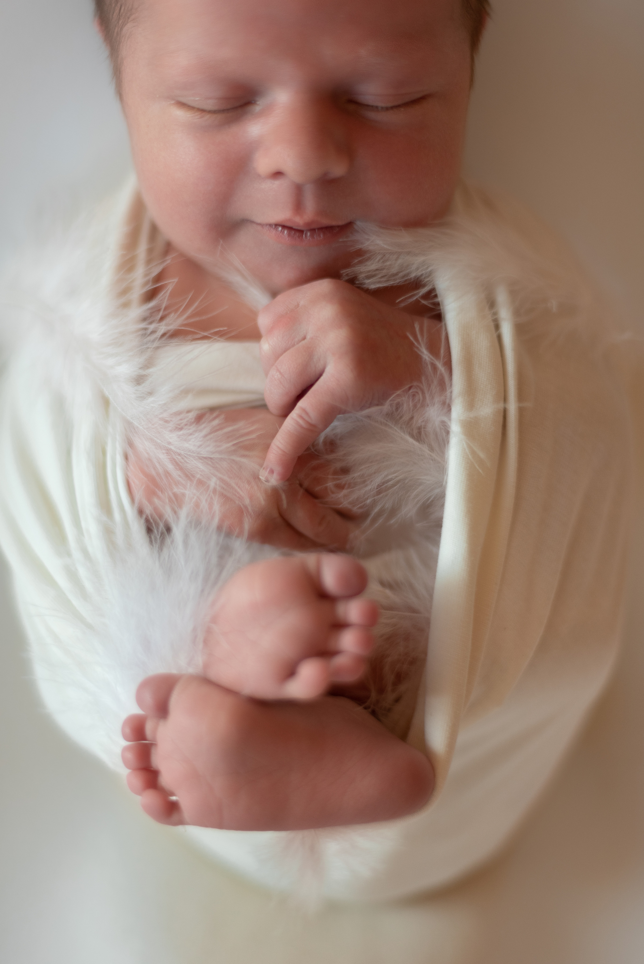 ✨. Профессиональный фотограф новорожденных Тверь