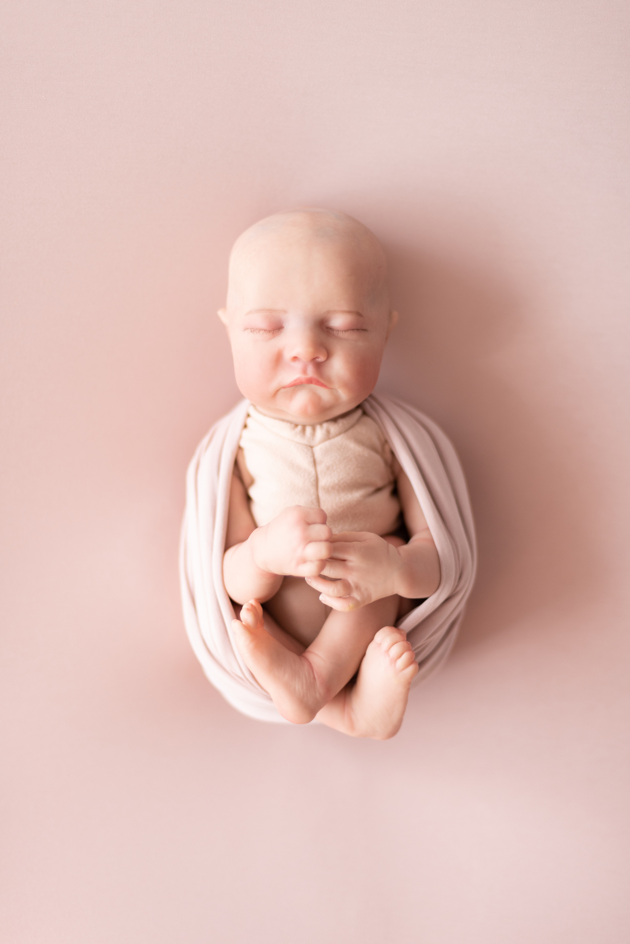 Пыльная Роза✨