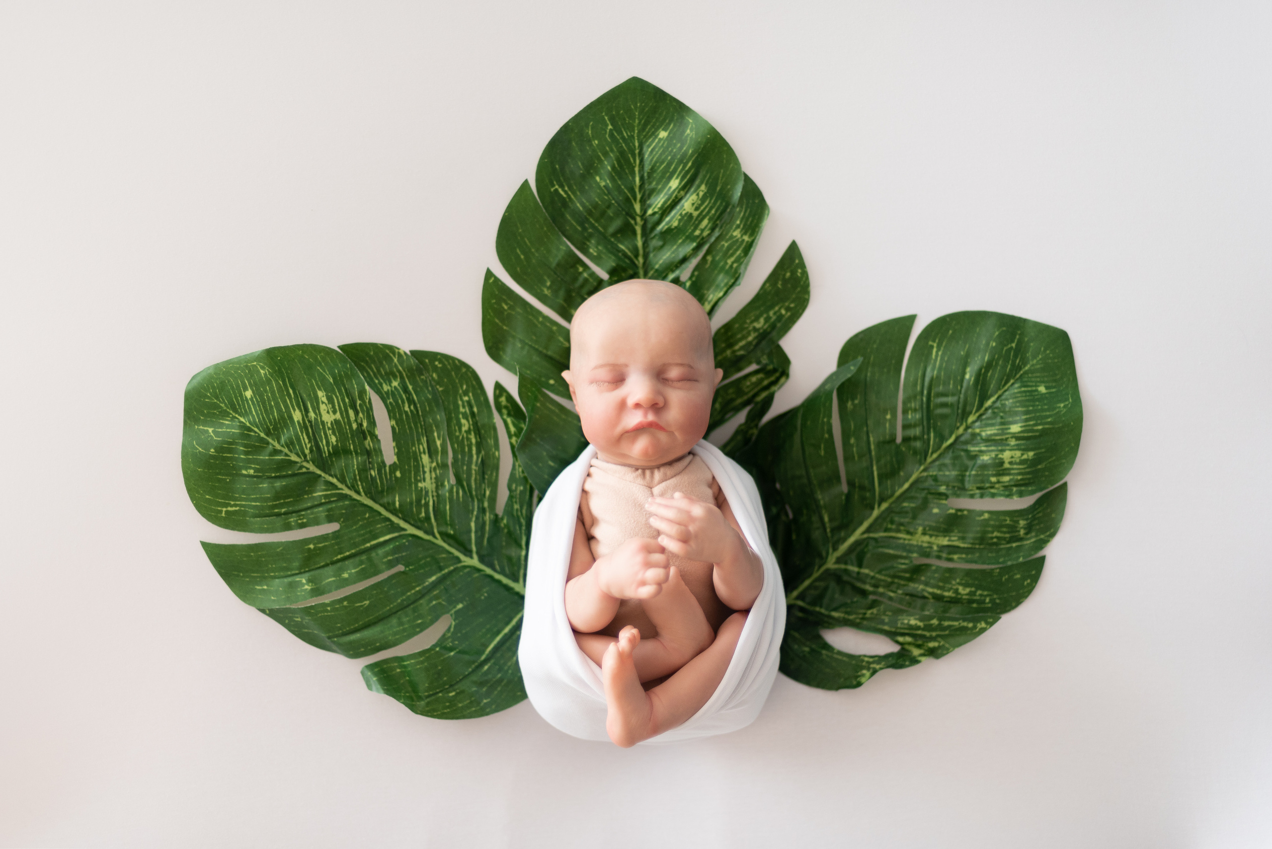 Реквизит✨. Профессиональный фотограф новорожденных Тверь