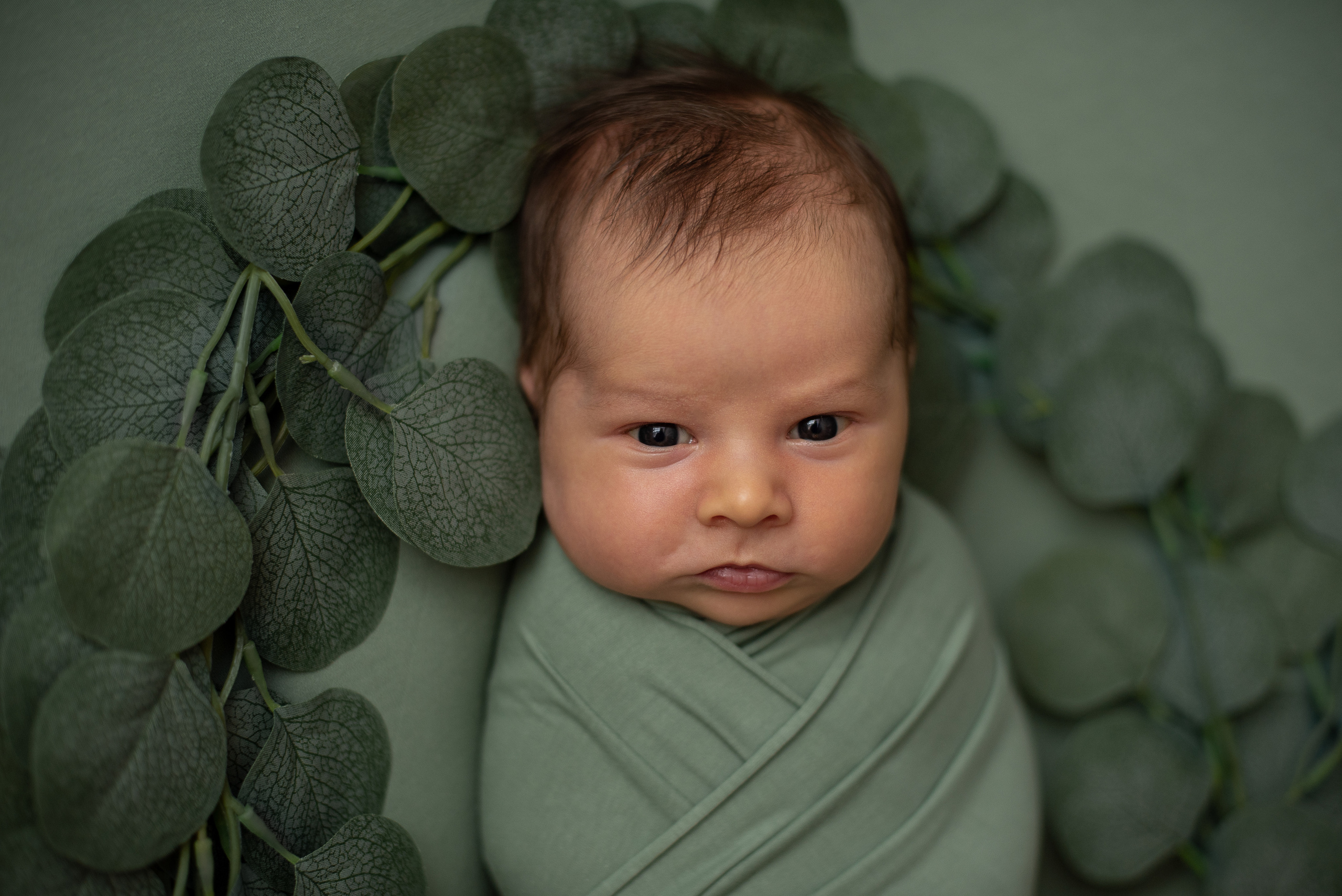 ✨. Профессиональный фотограф новорожденных Тверь