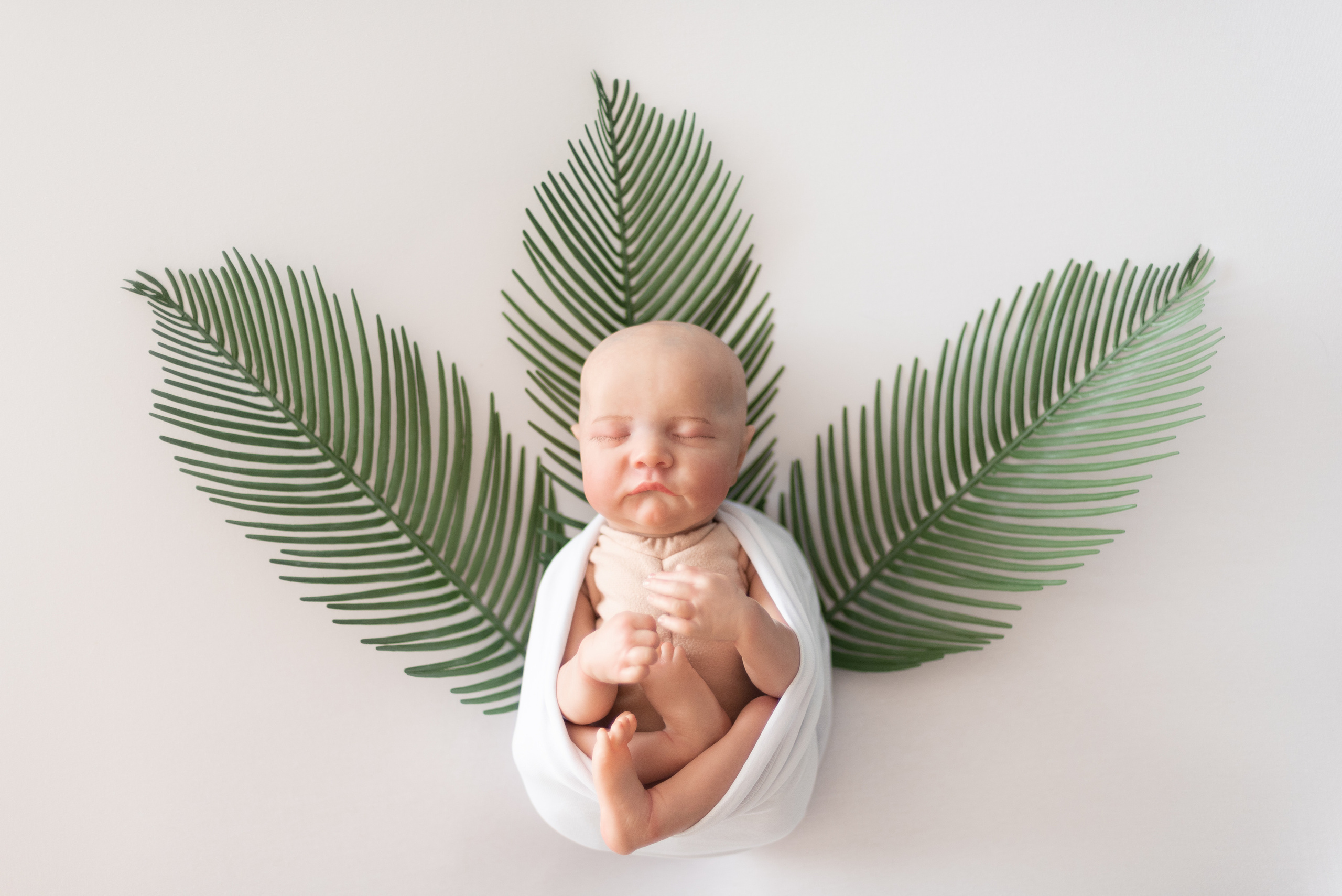 Реквизит✨. Профессиональный фотограф новорожденных Тверь