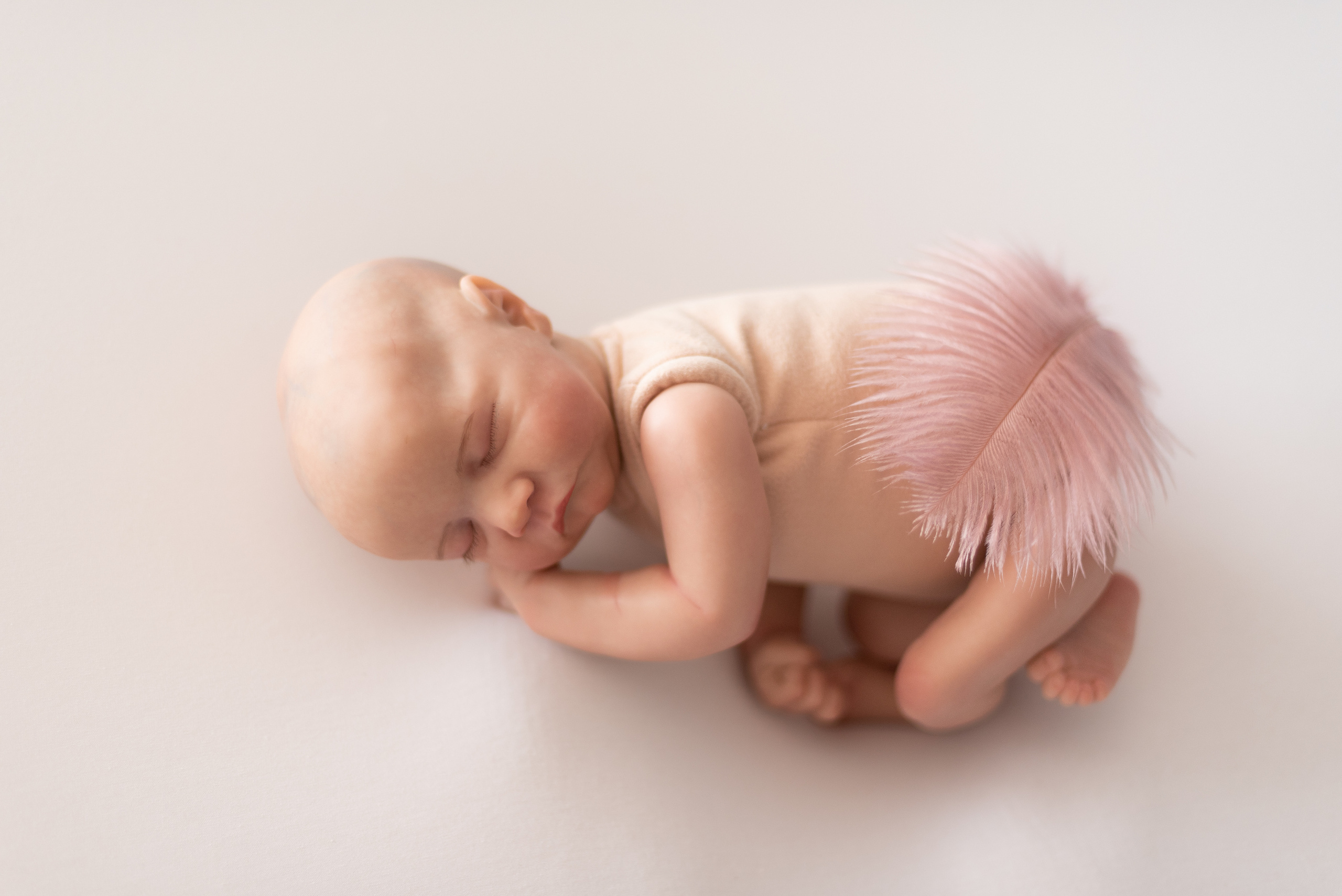 Реквизит✨. Профессиональный фотограф новорожденных Тверь