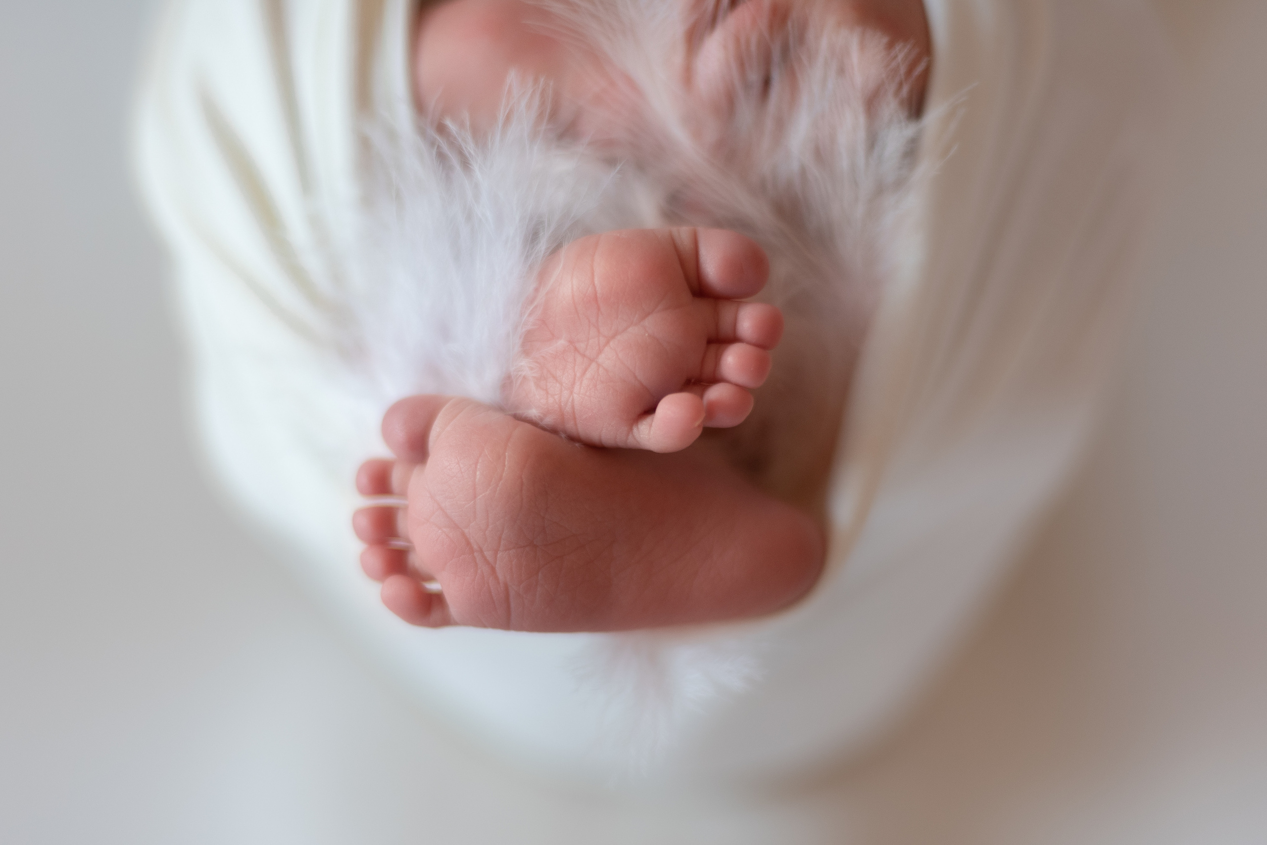 ✨. Профессиональный фотограф новорожденных Тверь