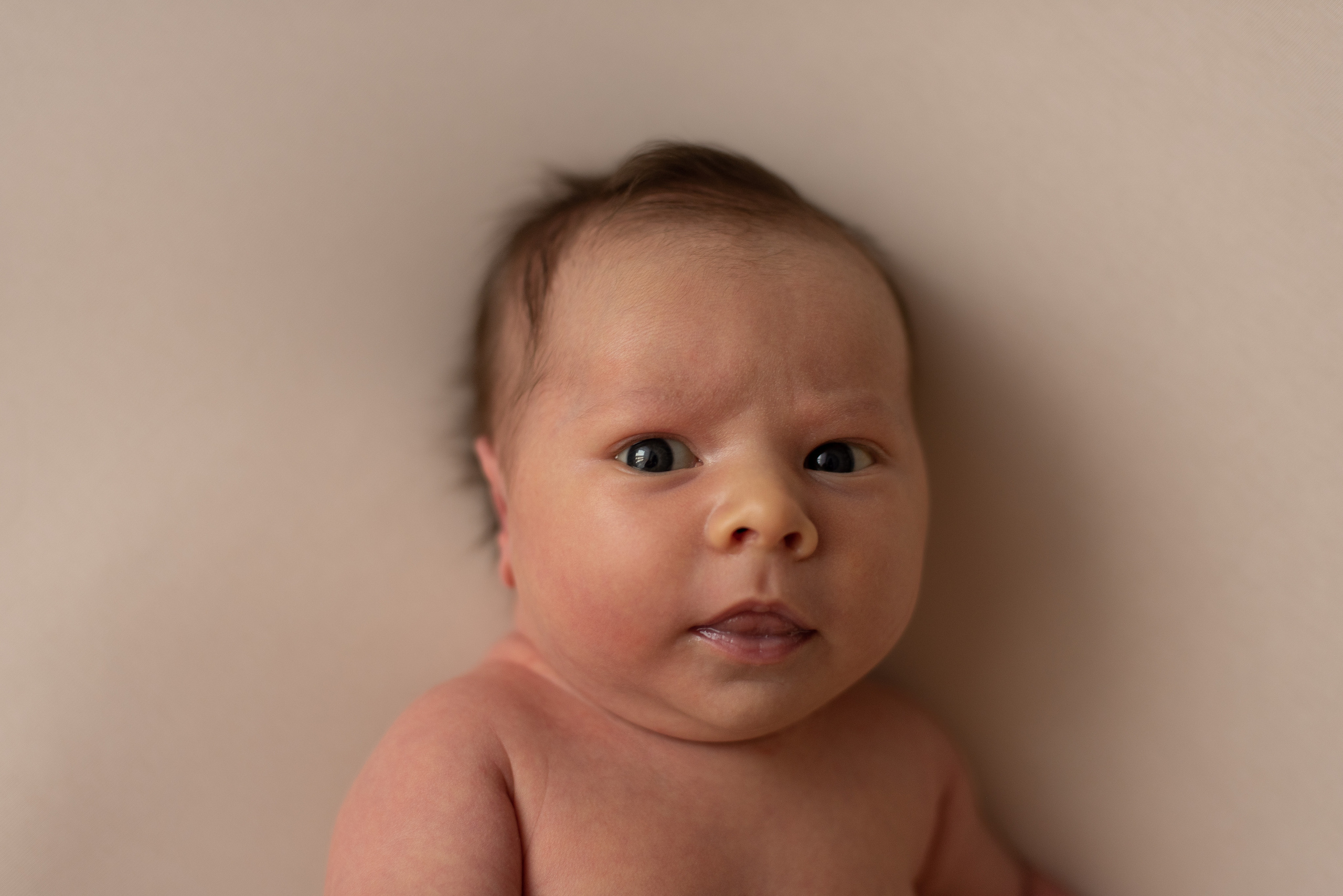 ✨. Профессиональный фотограф новорожденных Тверь