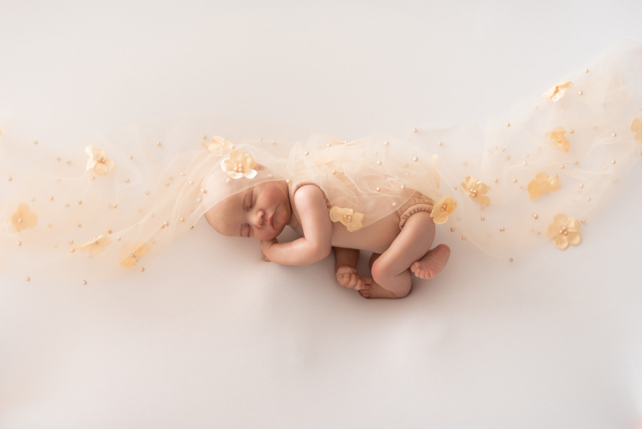 Реквизит✨. Профессиональный фотограф новорожденных Тверь