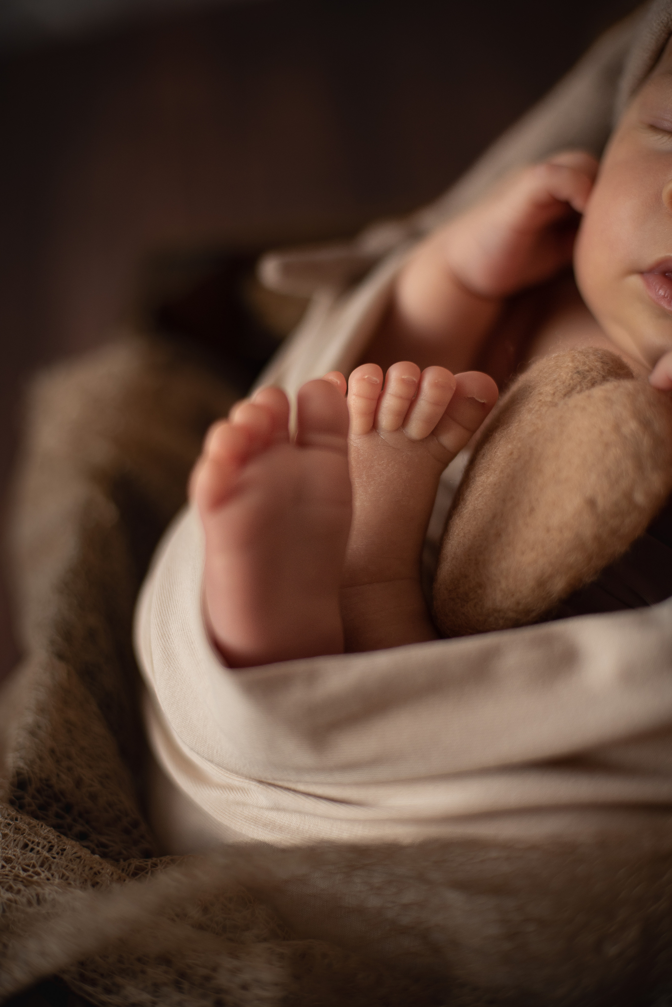 ✨. Профессиональный фотограф новорожденных Тверь