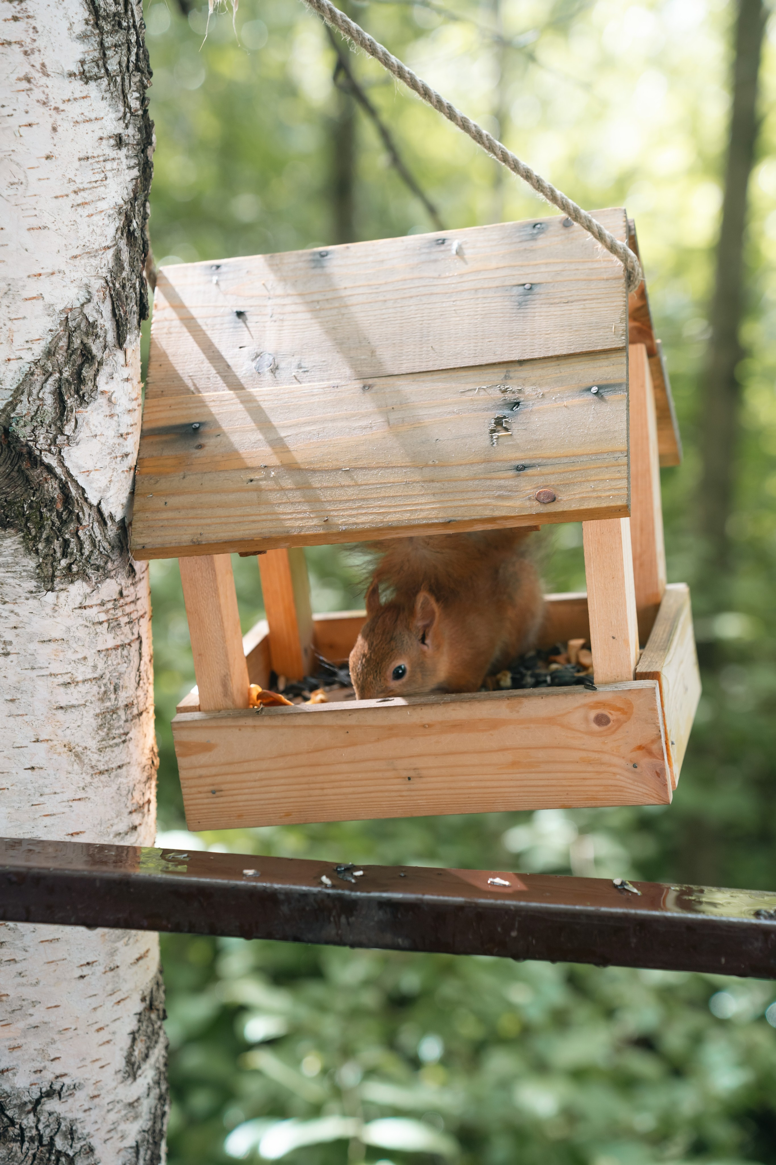 Евгений и Анастасия. Фотограф и видеограф Олег Игнатов | Свадьбы, Love Story, реклама и корпоративы — Красноярск