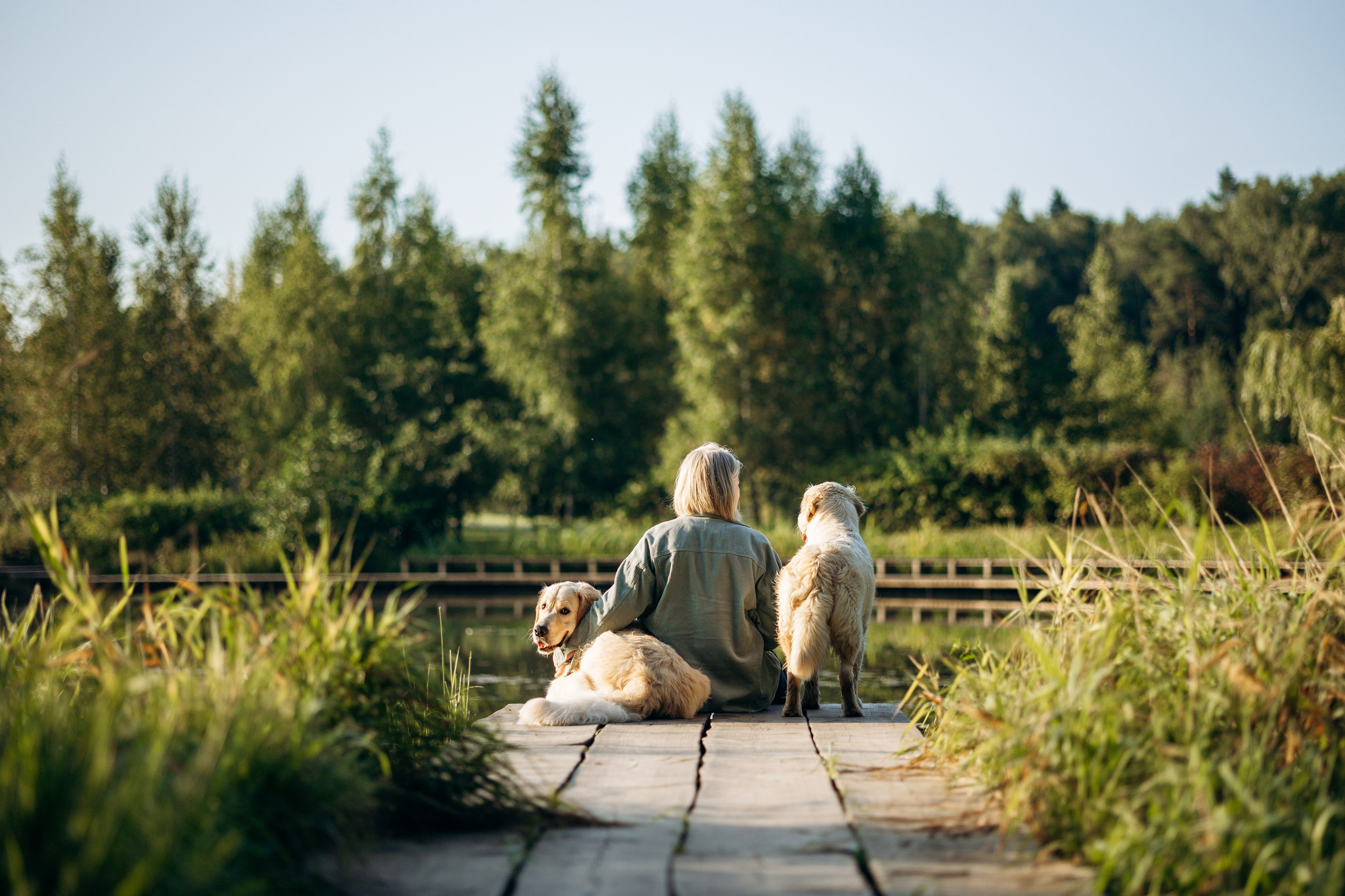 Ирина и ее золотинки. Фотограф — Анималист | Санкт-Петербург
