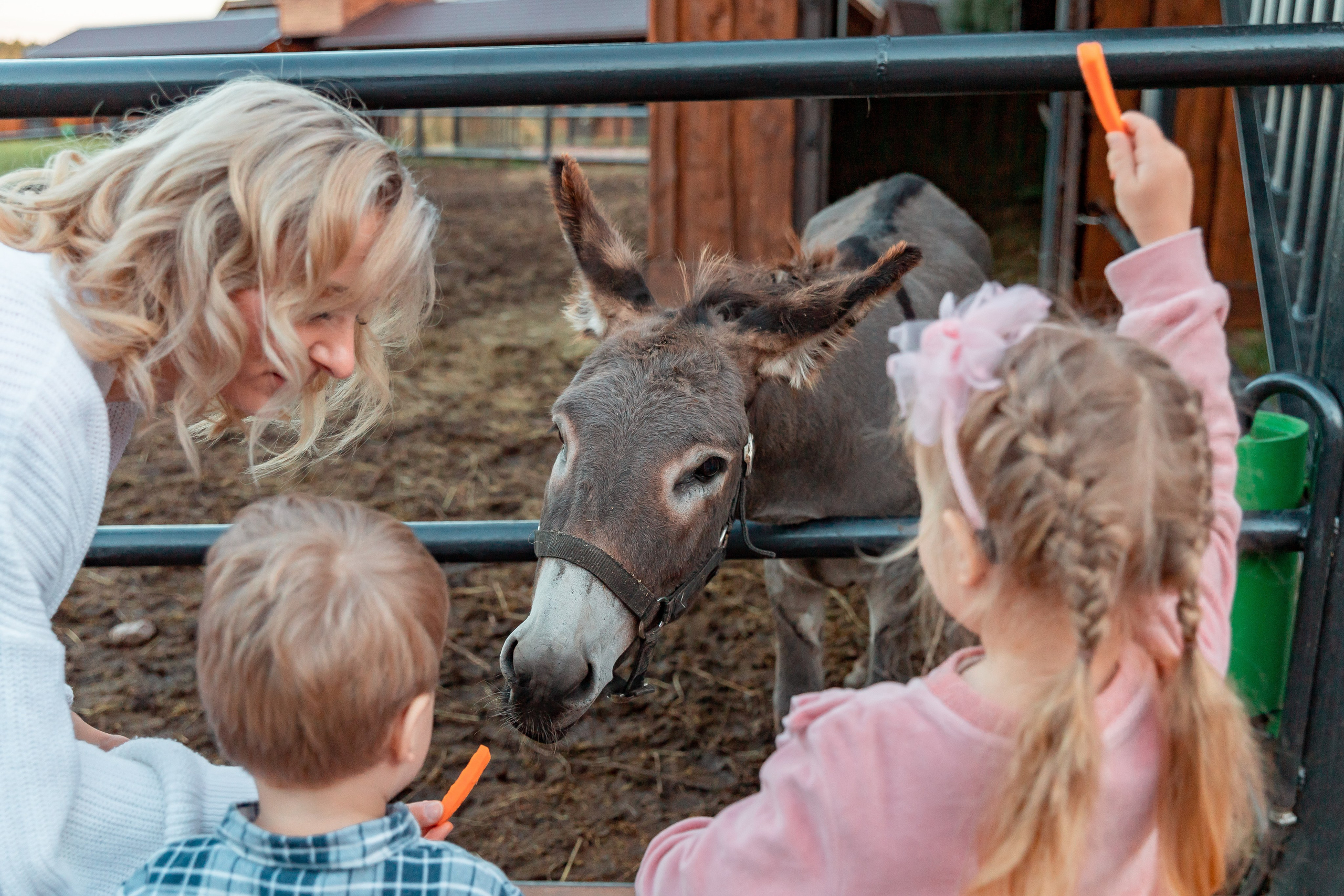 Прогулка на ранчо. Детский и семейный фотограф в Красноярске Юлия Бирюкова