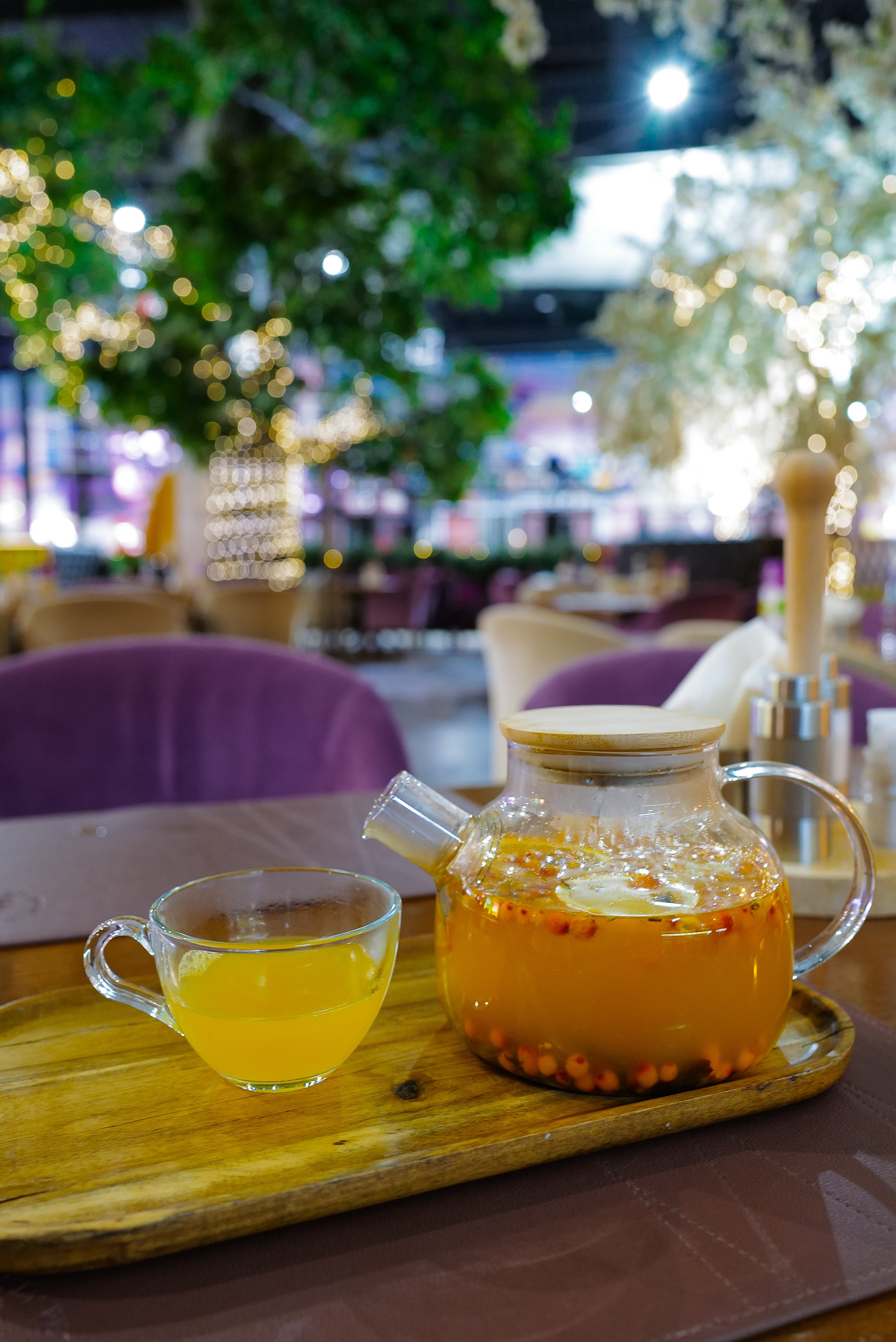 Premier only august 2024. Главная