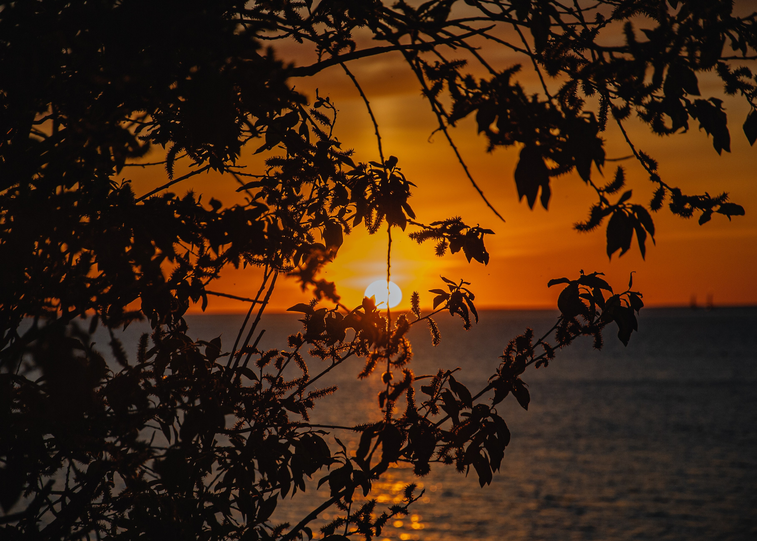 Закаты Питера. Портретный фотограф DanilNabody