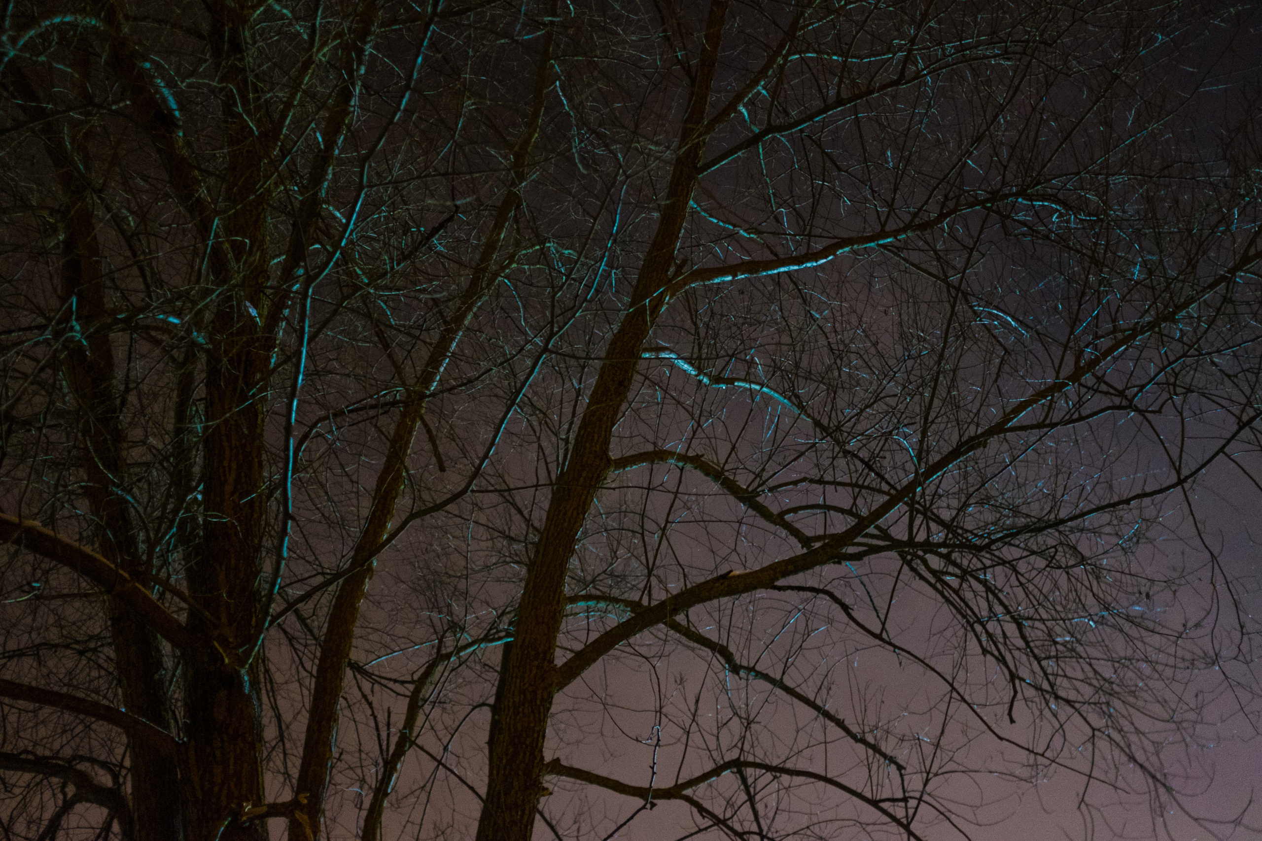 Singles 2. Alyona Kochetkova | Photographer and photography educator