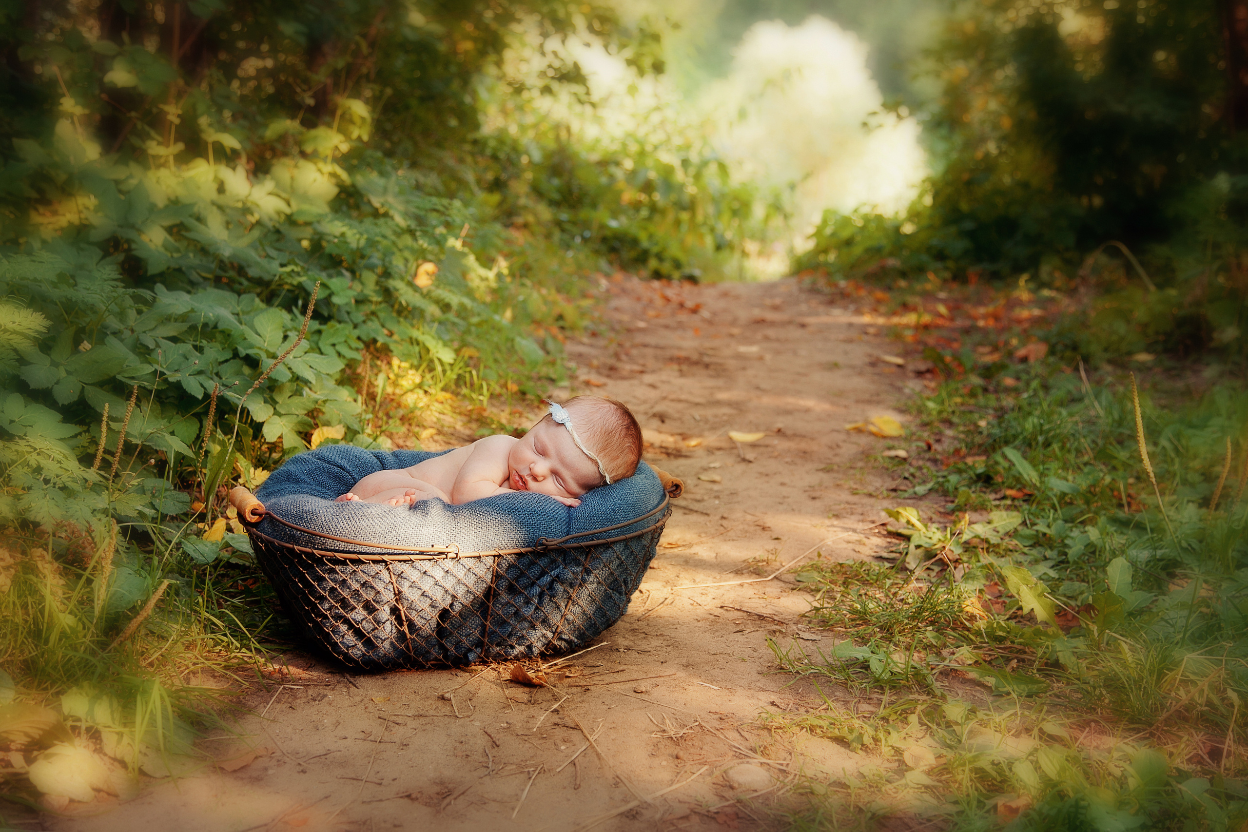 Съемки на природе. Семейный, детский, newborn фотограф Москва,Московская обл Алла Риэр