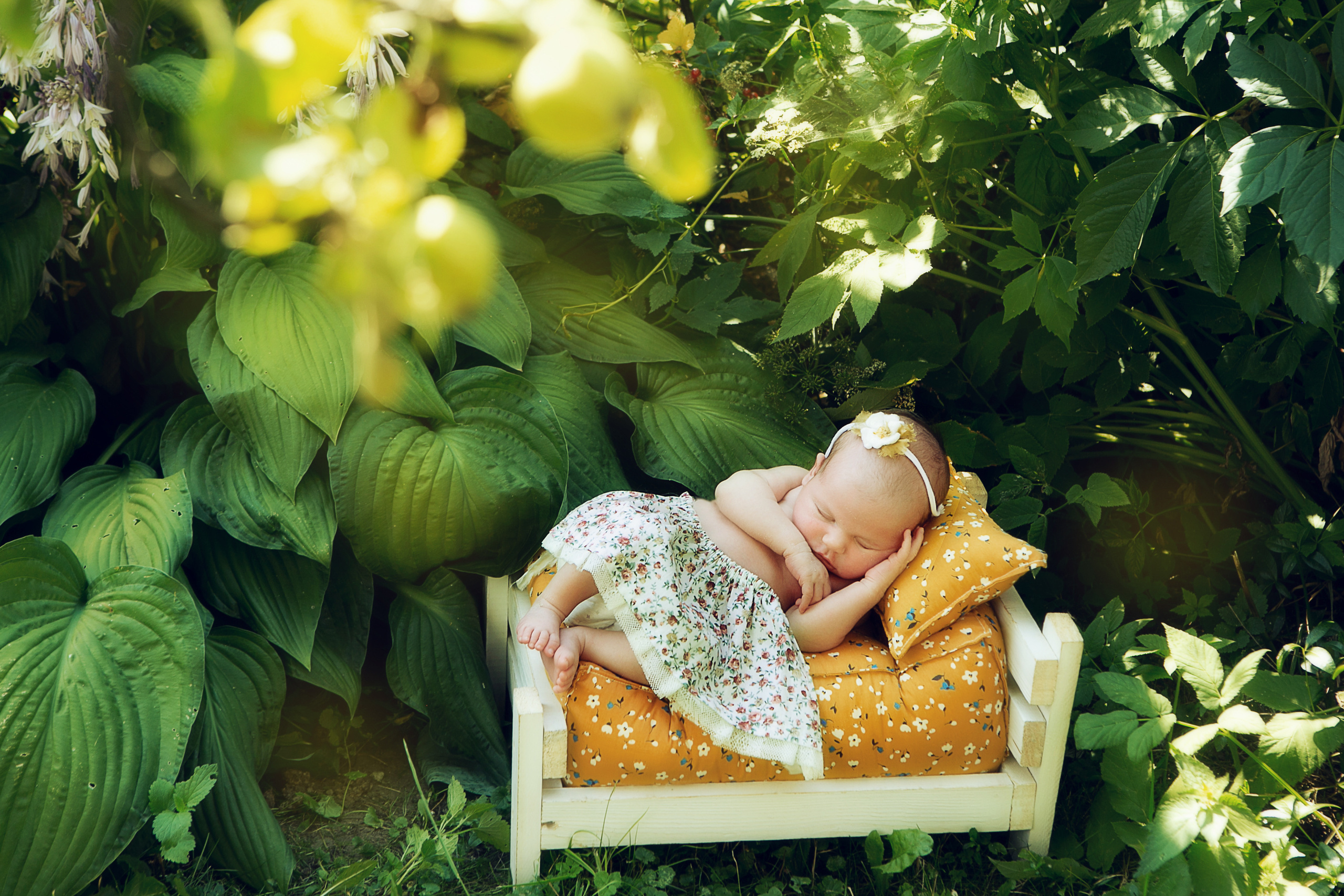 Съемки на природе. Семейный, детский, newborn фотограф Москва,Московская обл Алла Риэр