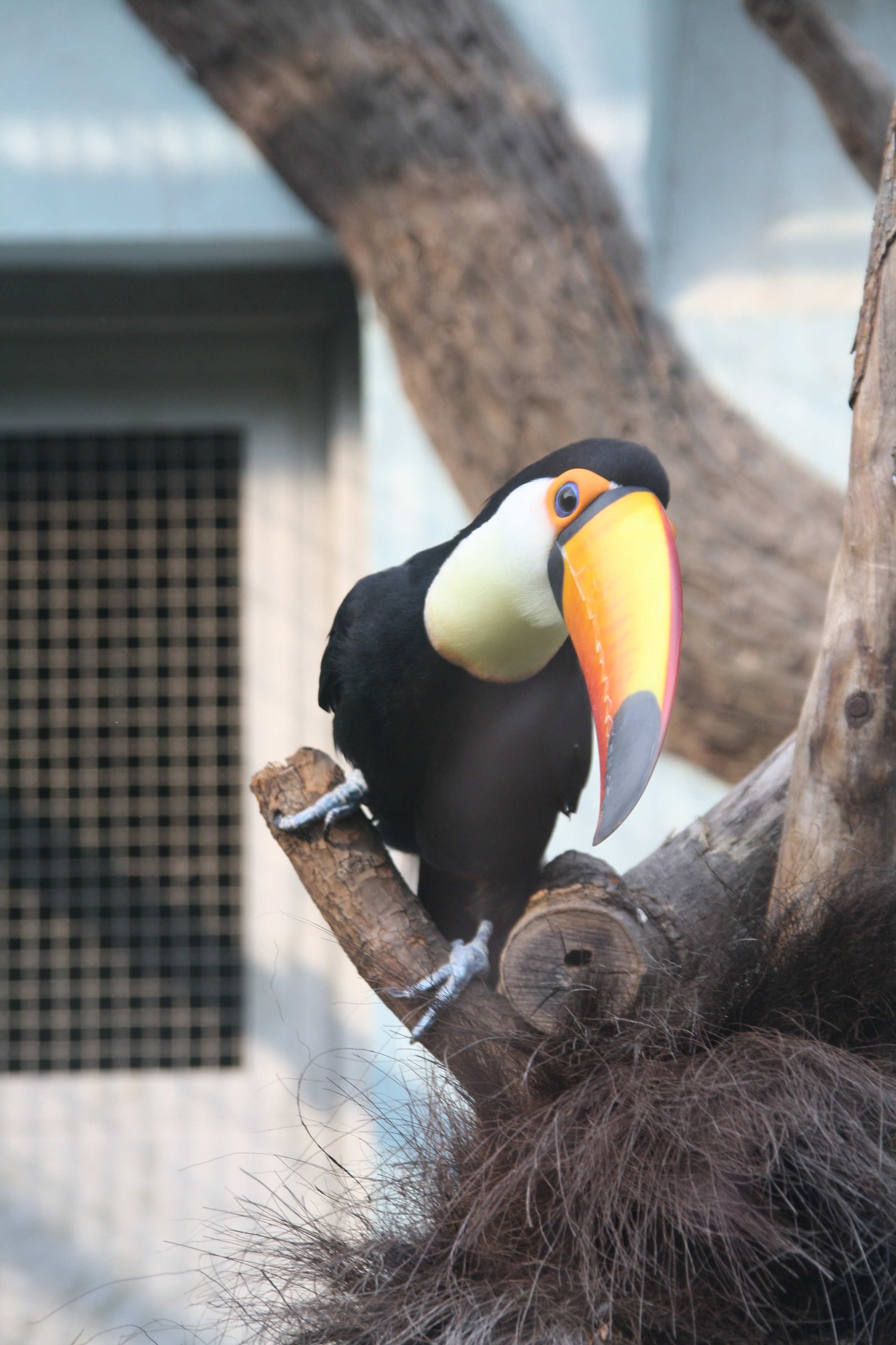 Шанхай. Фотограф Алексей Федорищев