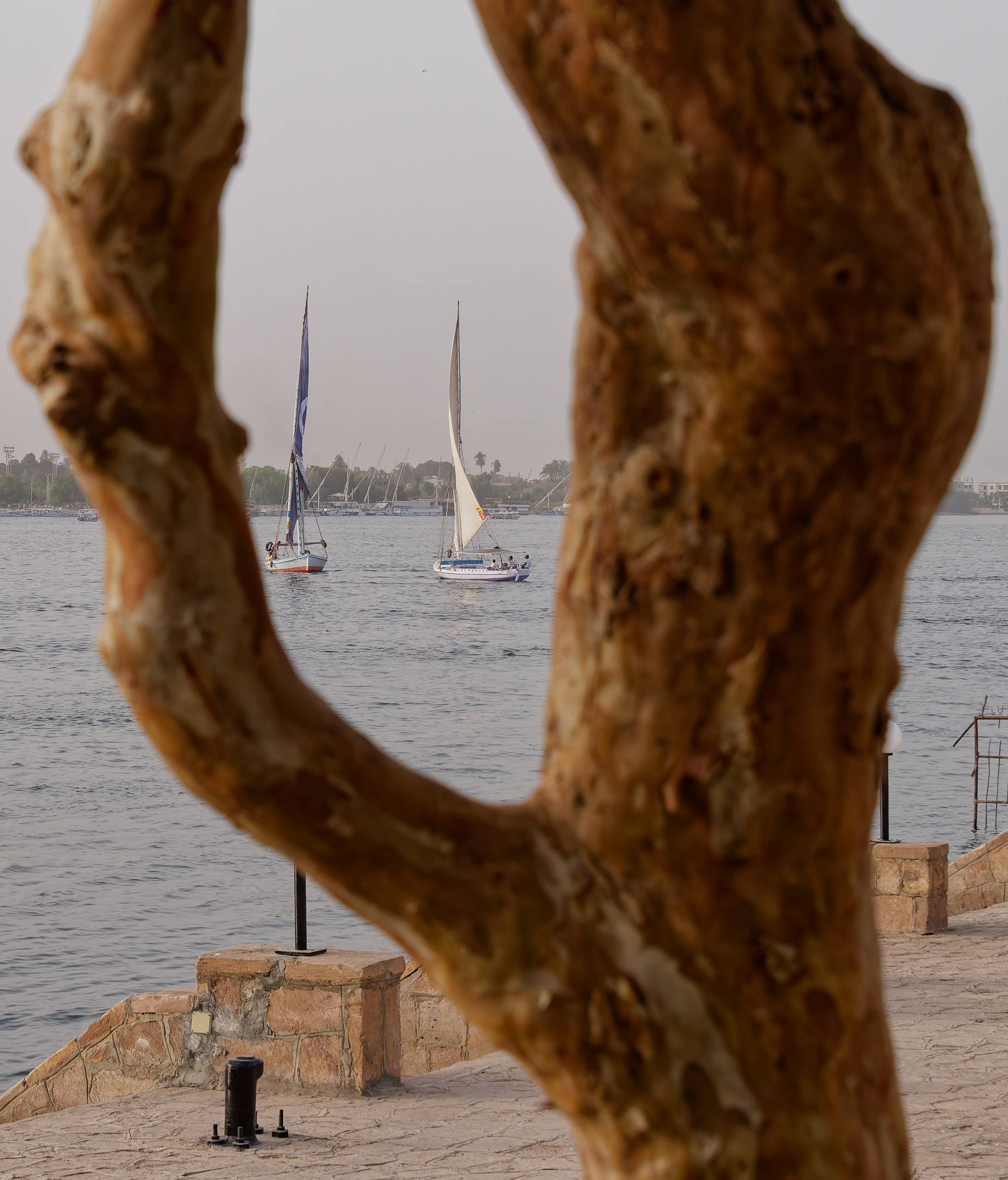 Луксор 2022, город. Избранные фотографии