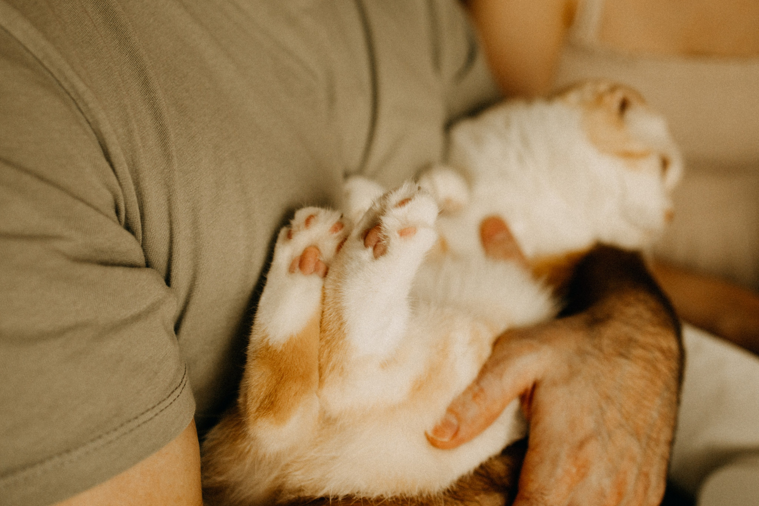 +1. Фотограф Настя Леонова